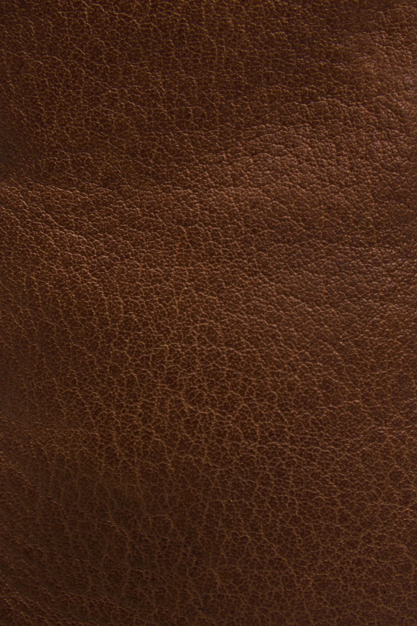 Austin Inside Zip - Frye Found - Image 5