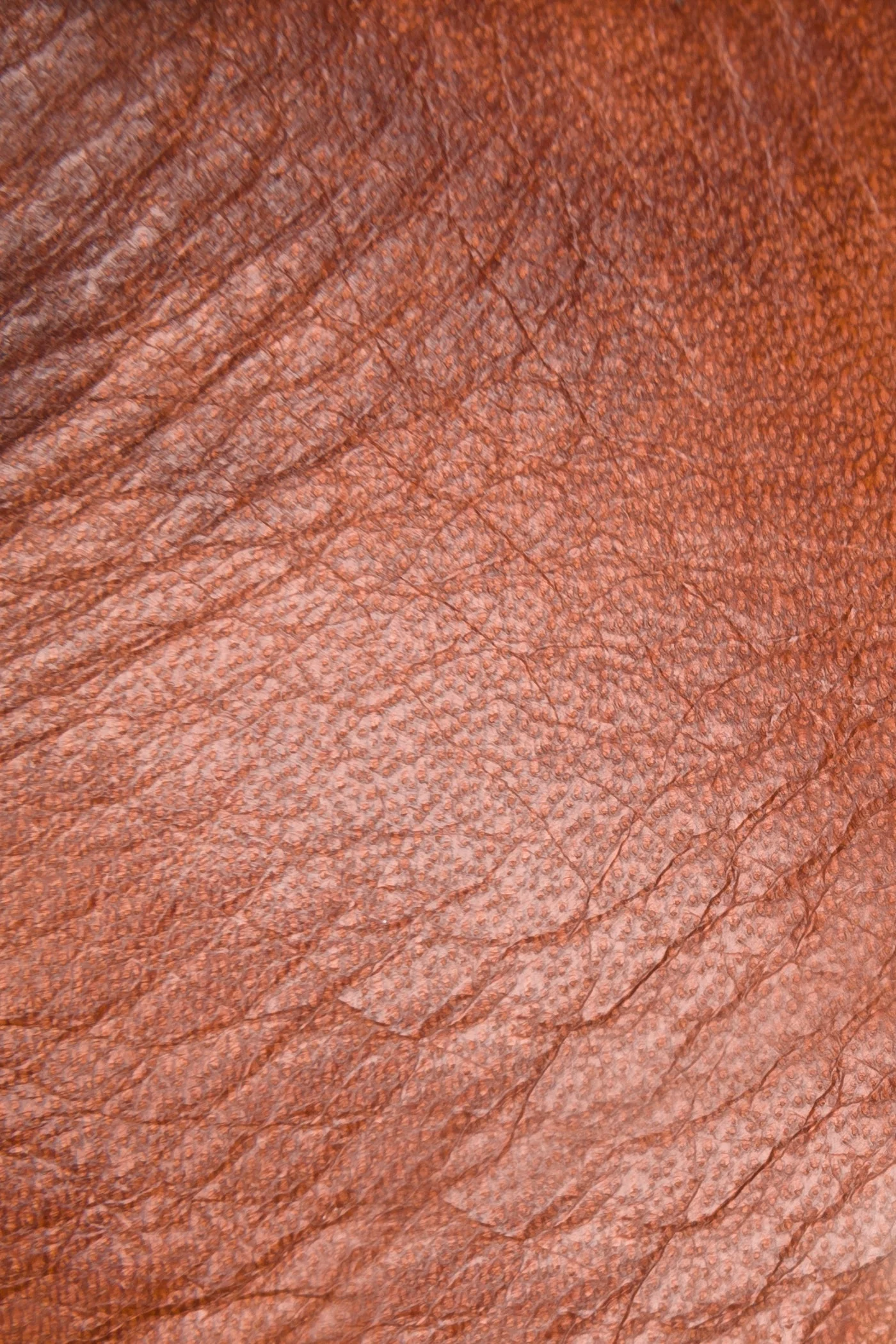 Betty Low Lace - Frye Found - Image 3