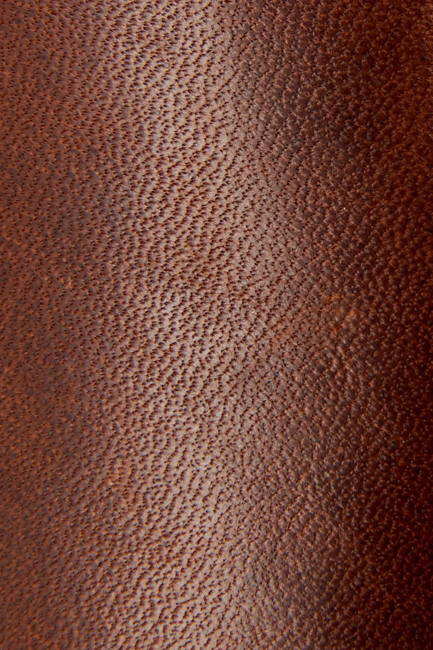 Billy Inside Zip Bootie - Caramel / 7.5 - Pre-Loved - Image 5