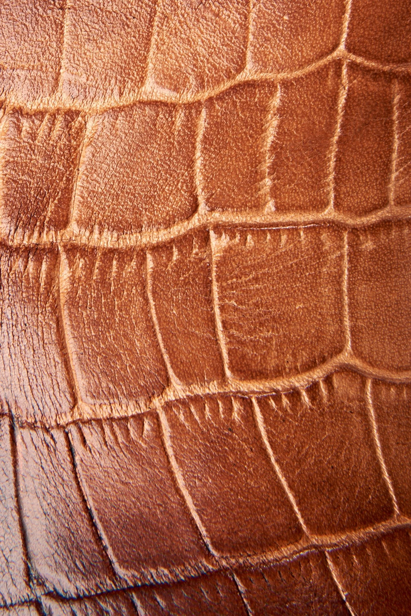 Billy Inside Zip Bootie - Pre-Loved - Image 5