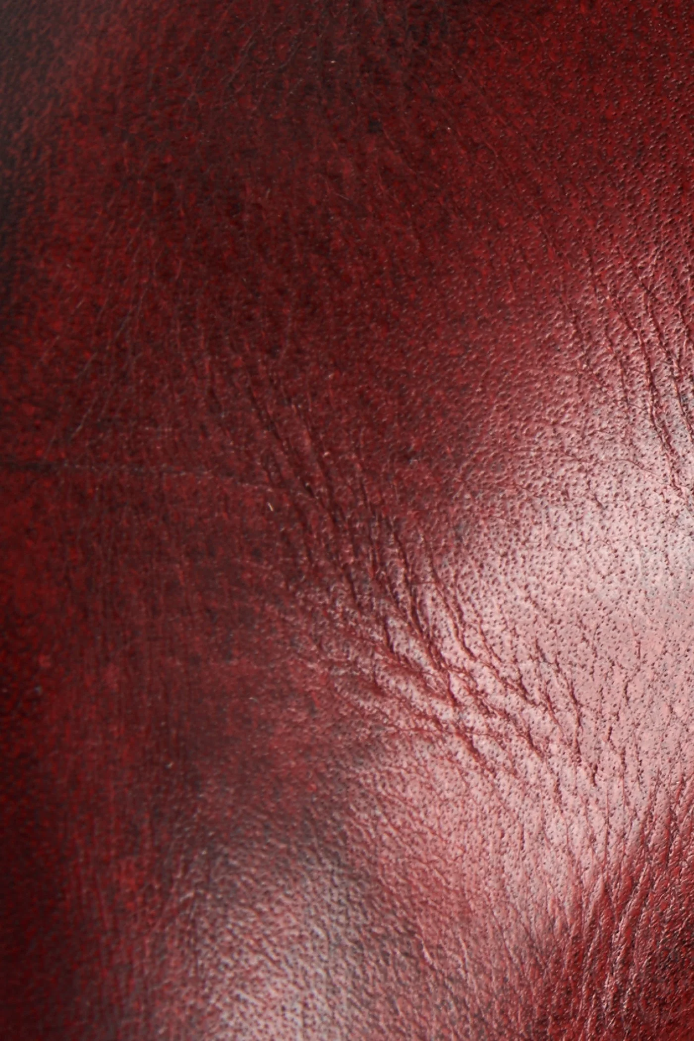 Billy Short - Frye Found - Image 5