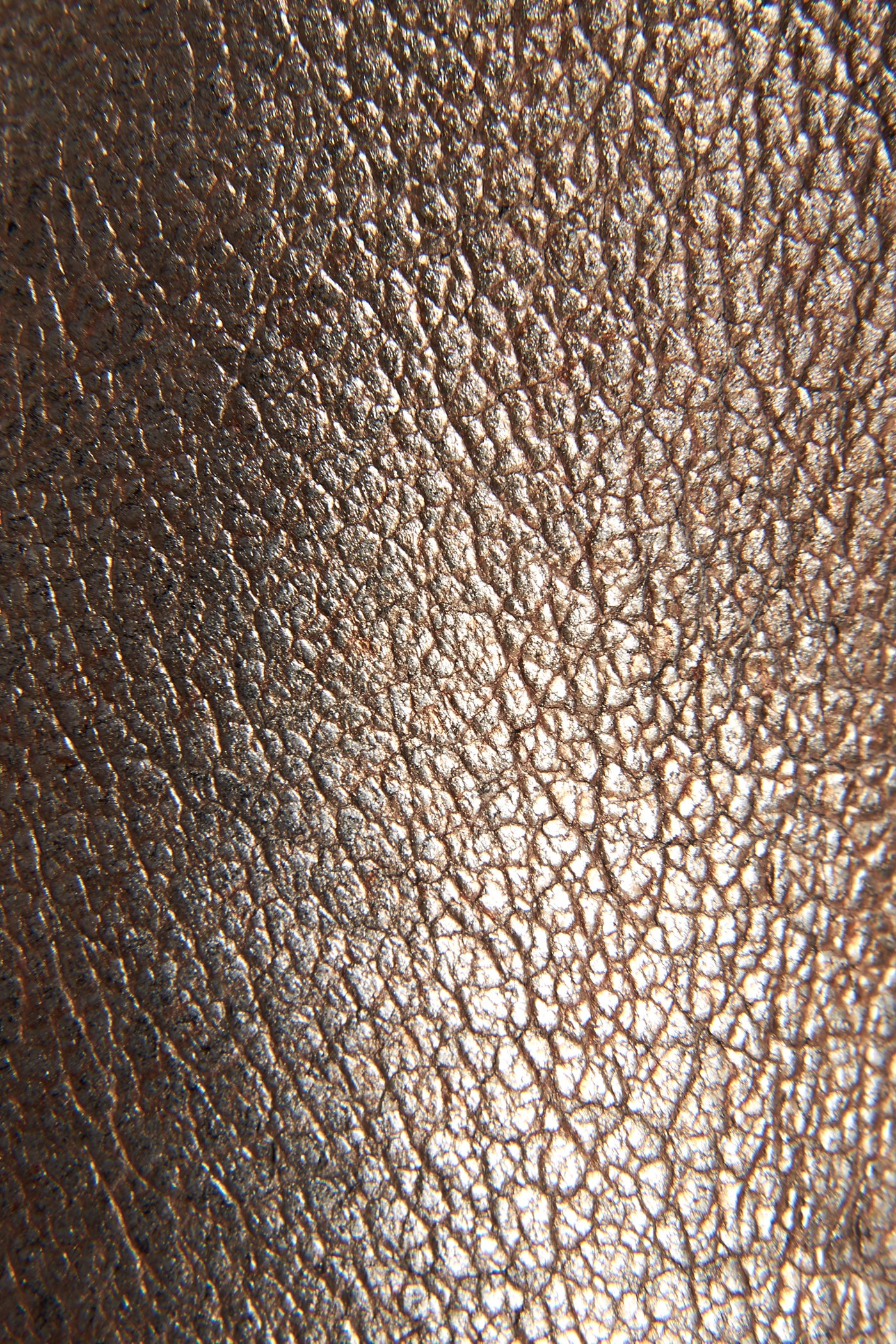 Billy Short - Frye Found - Image 5