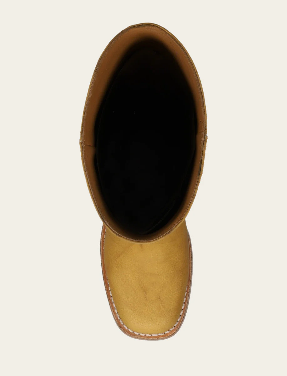 Campus 14L - Frye Found - Image 7