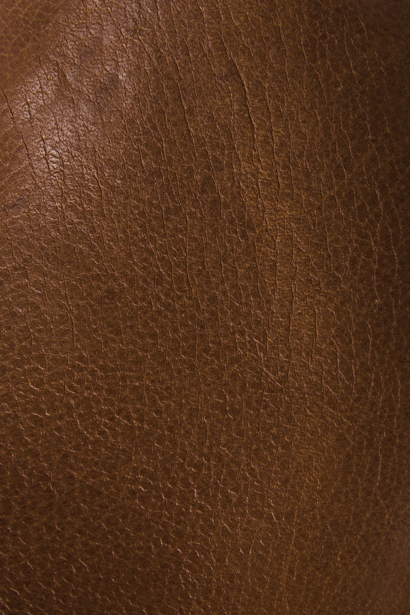 Cara Roper Short - Pre-Loved - Image 5