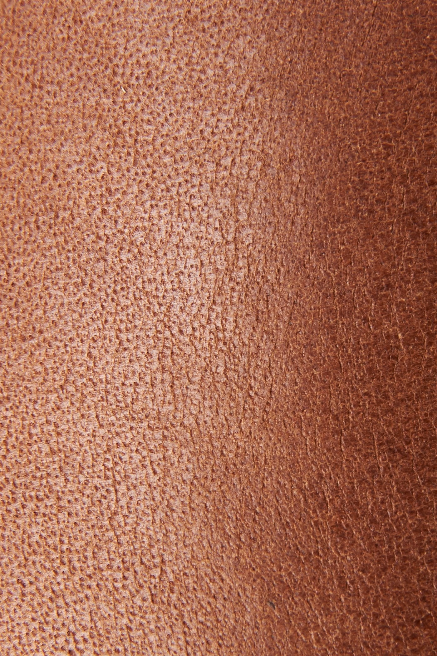 Carson Chelsea - Frye Found - Image 5