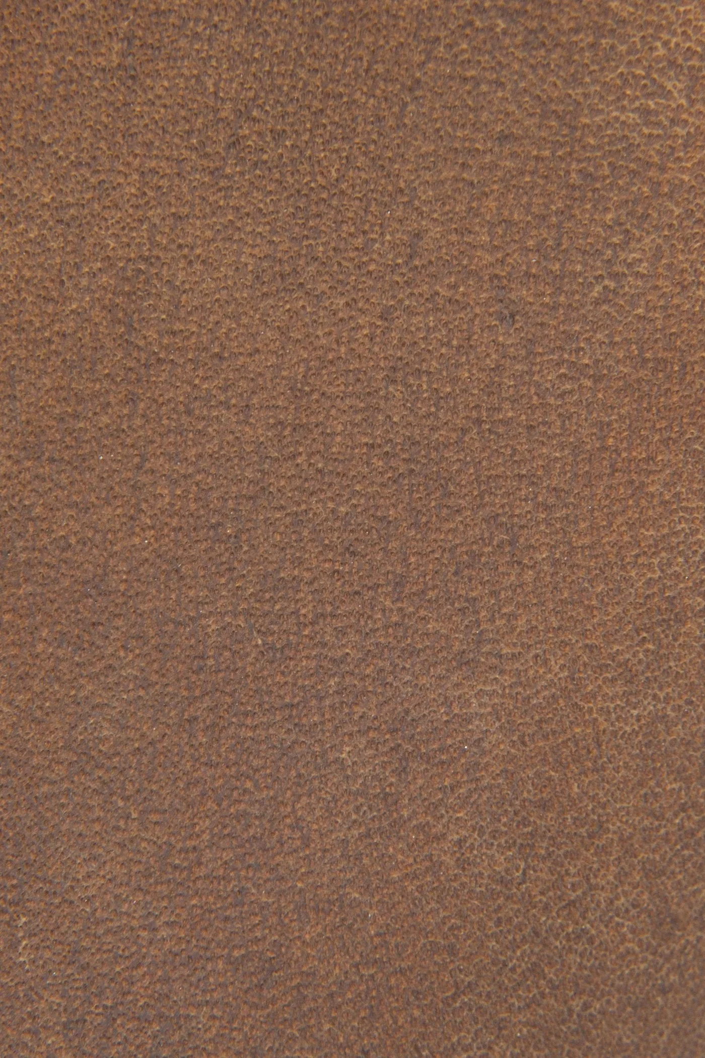 Carson Piping Tall Wide Calf - Frye Found - Image 6