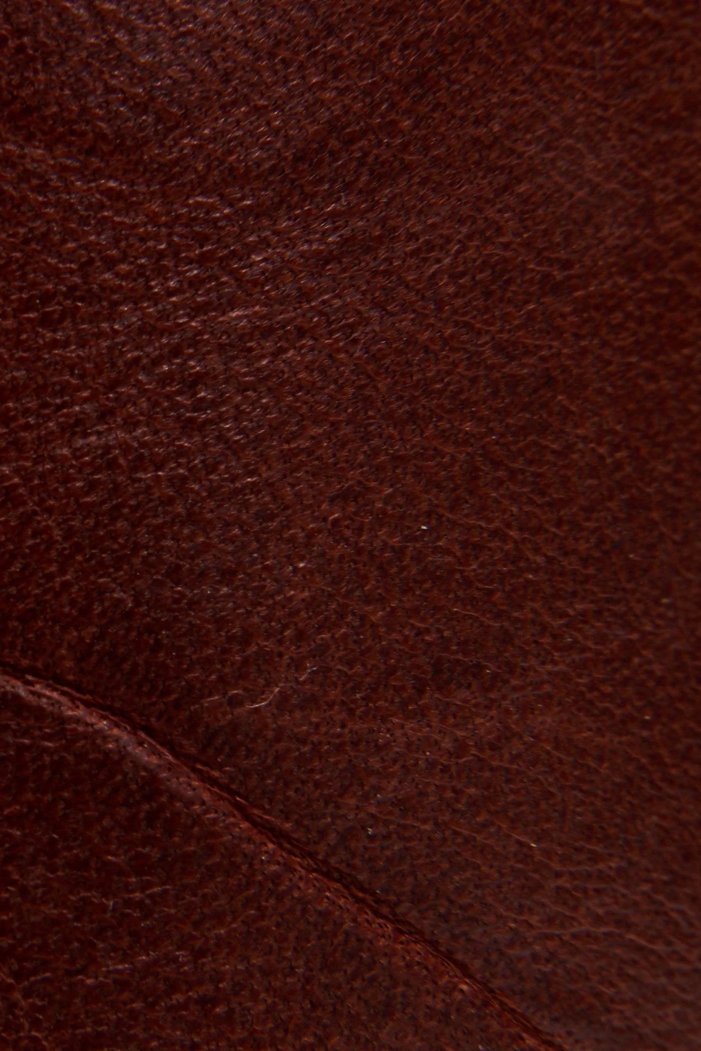 Carson Piping Tall Wide Calf - Frye Found - Image 5
