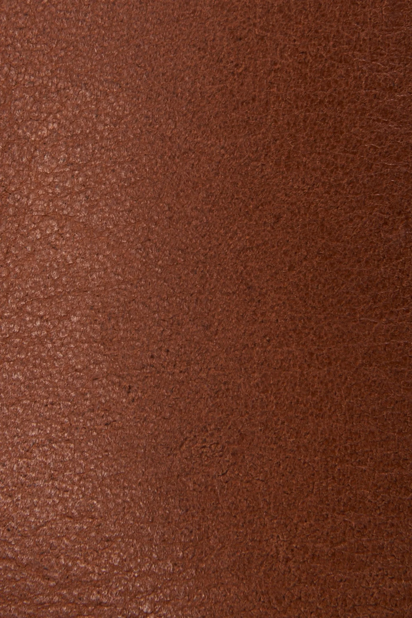Carson Pull On - Pre-Loved - Image 5