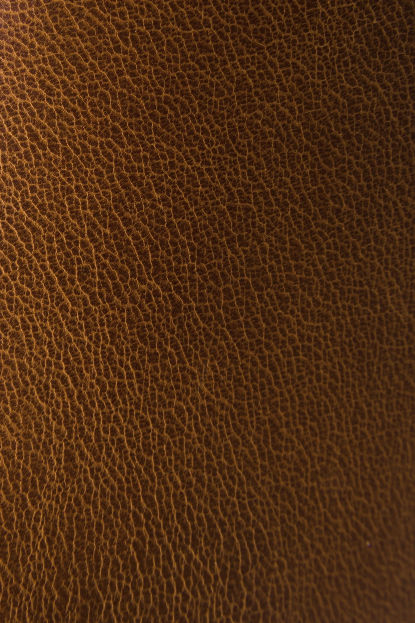 Carter Harness - Frye Found - Image 5