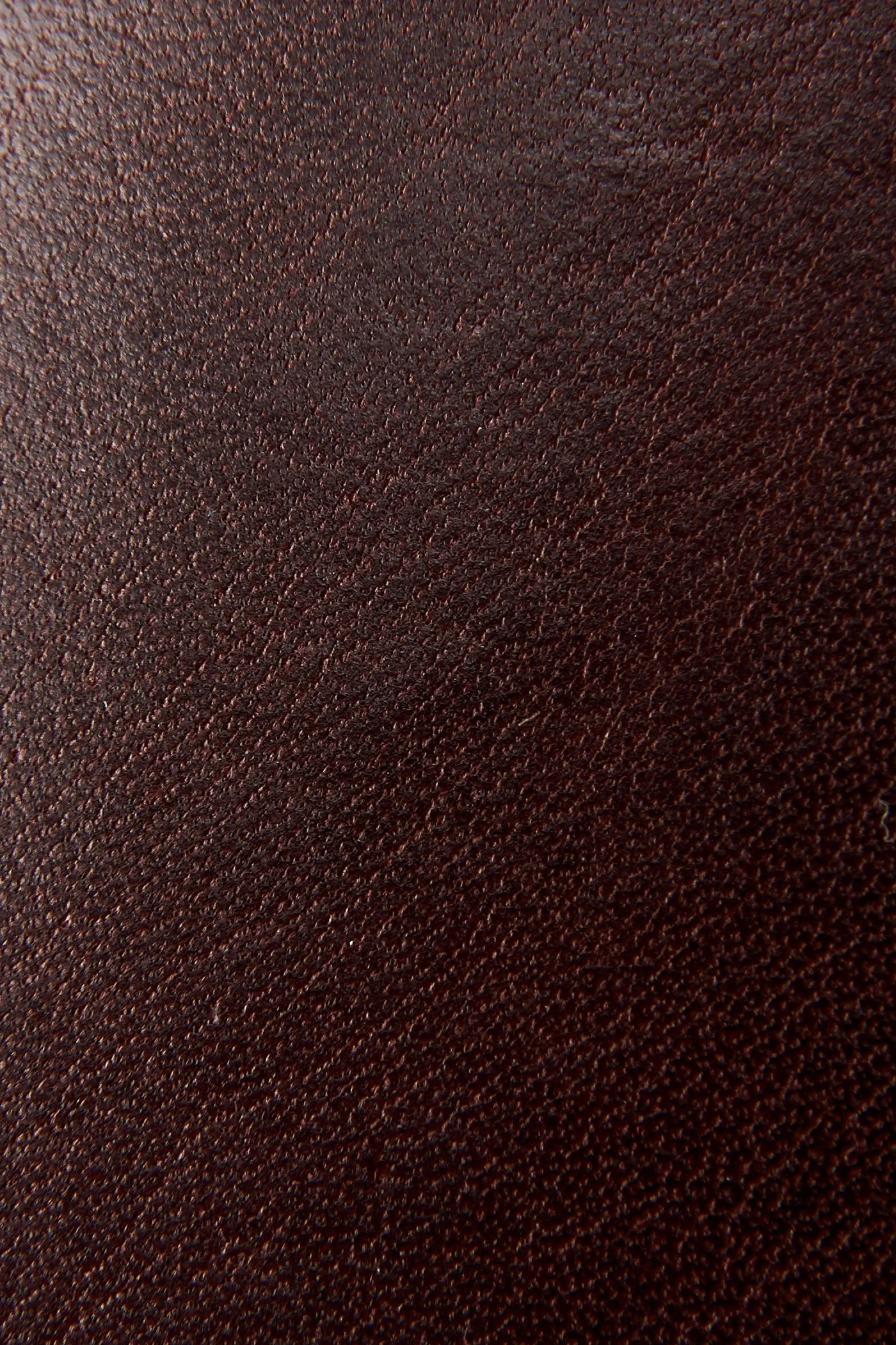 Conway Harness - Pre-Loved - Image 5