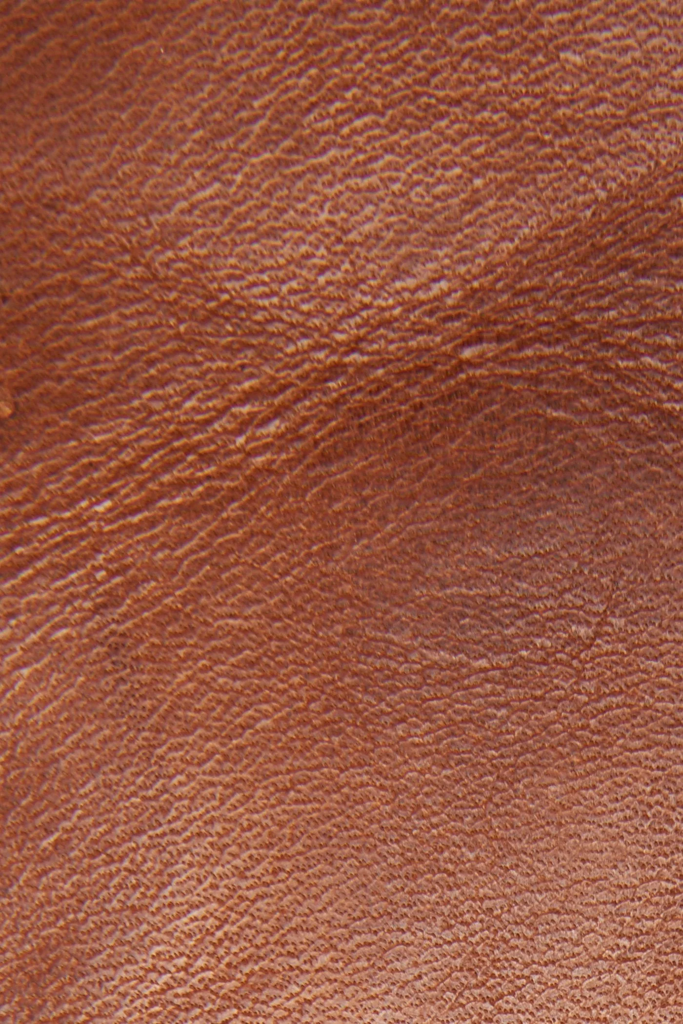 Diana Seam Tall - Frye Found - Image 5