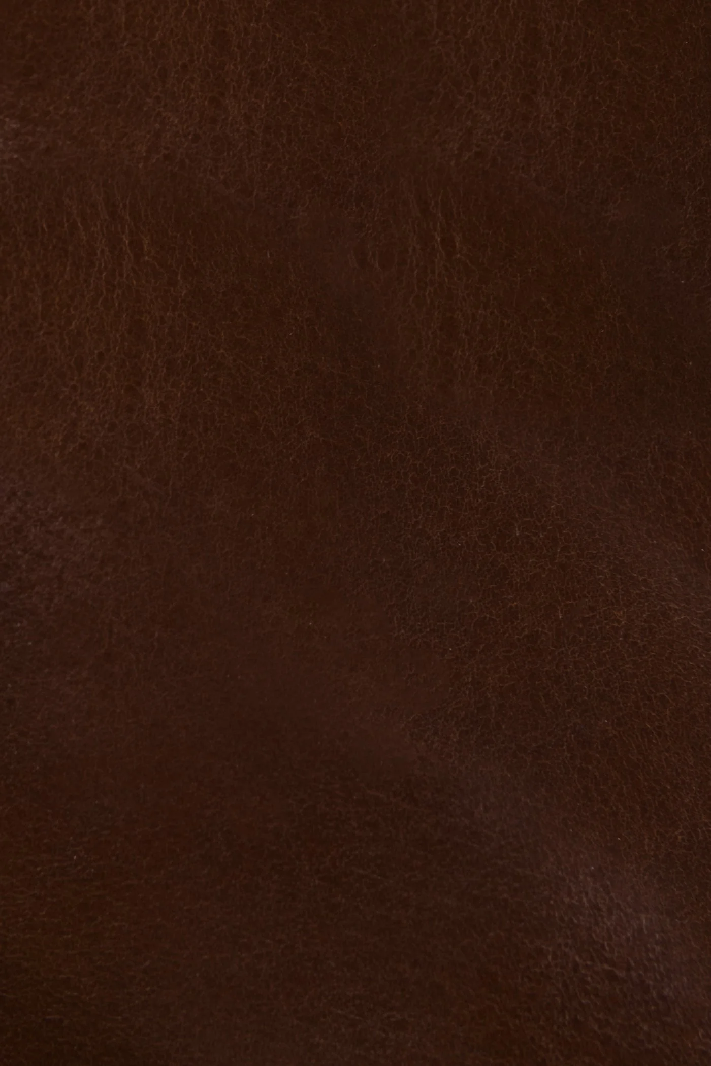 Erica Oxford - Frye Found - Image 5