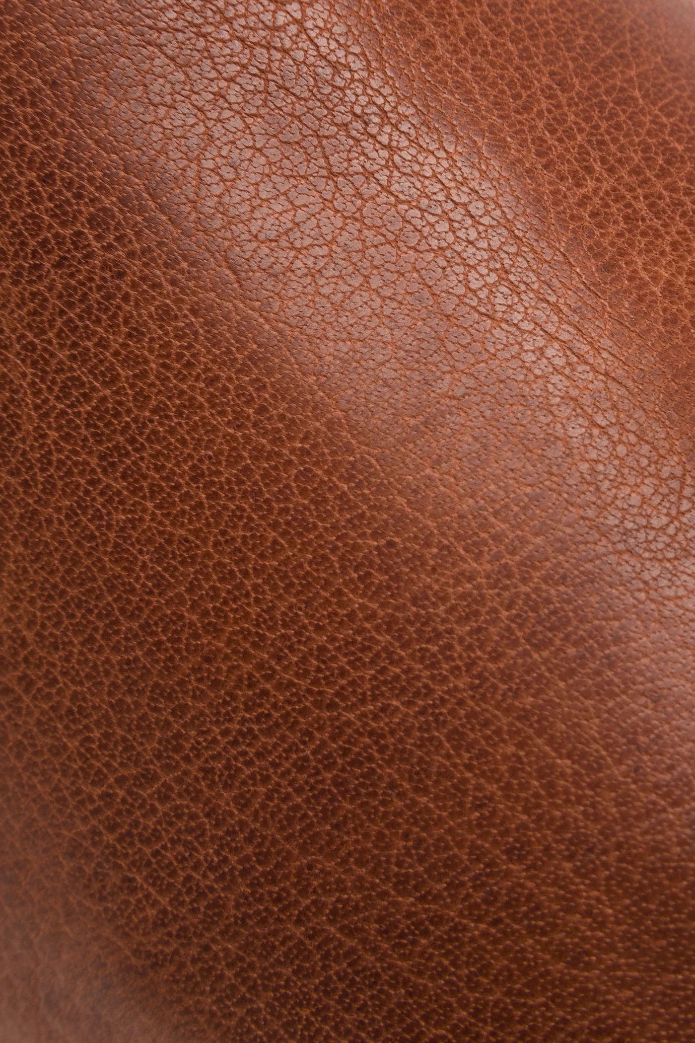 Ethan Double Zip - Frye Found - Image 3