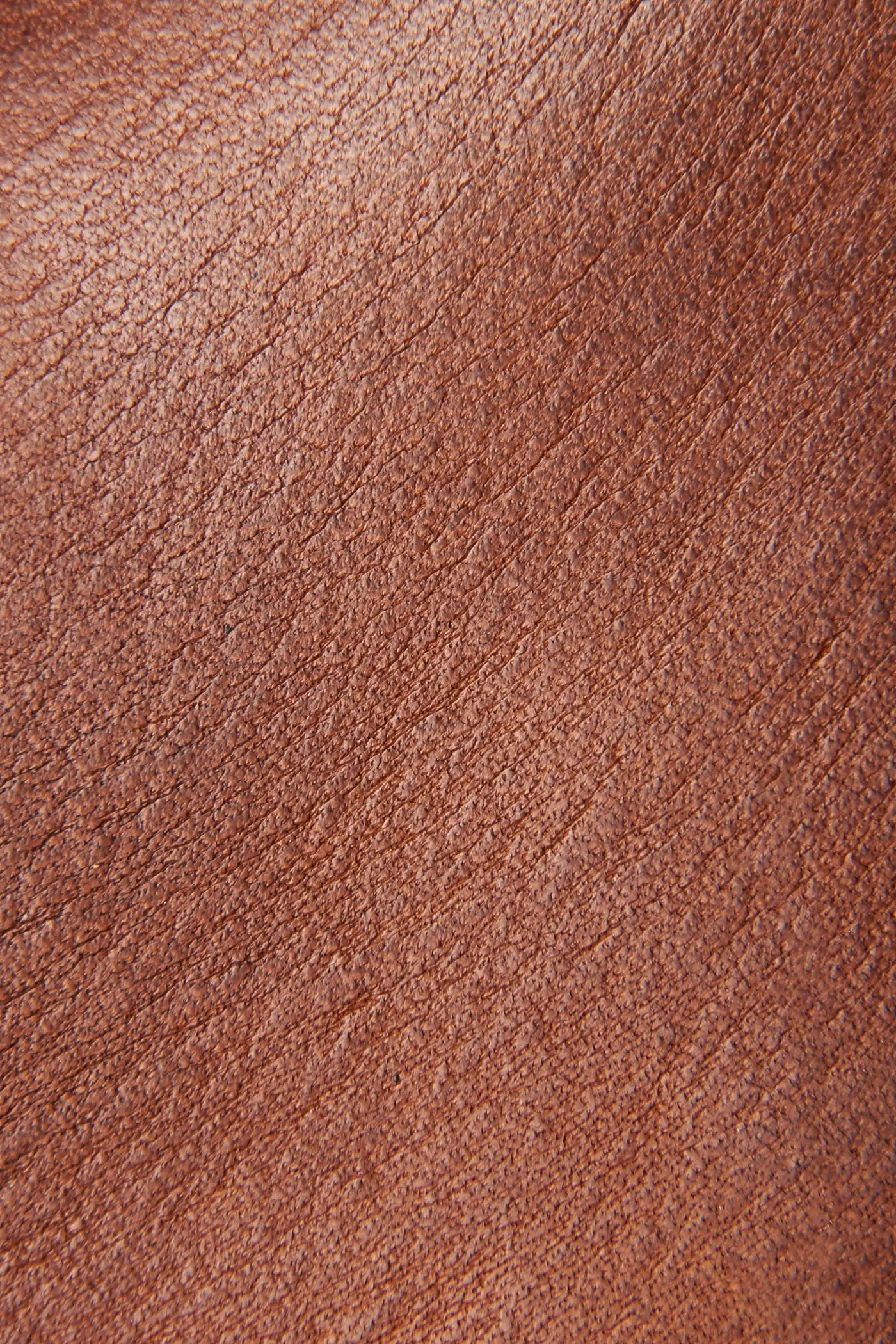 Farrah Inside Zip Bootie - Frye Found - Image 5