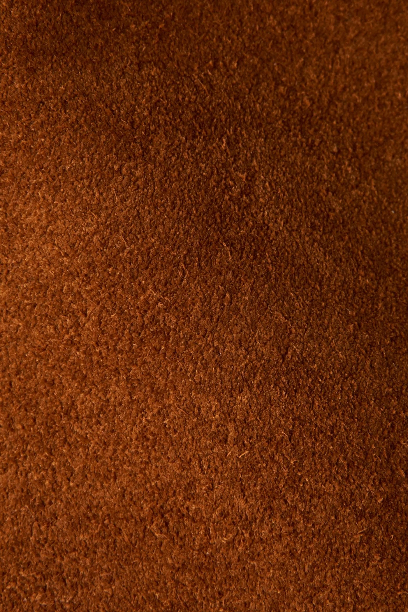 Farrah Wave Short - Frye Found - Image 5