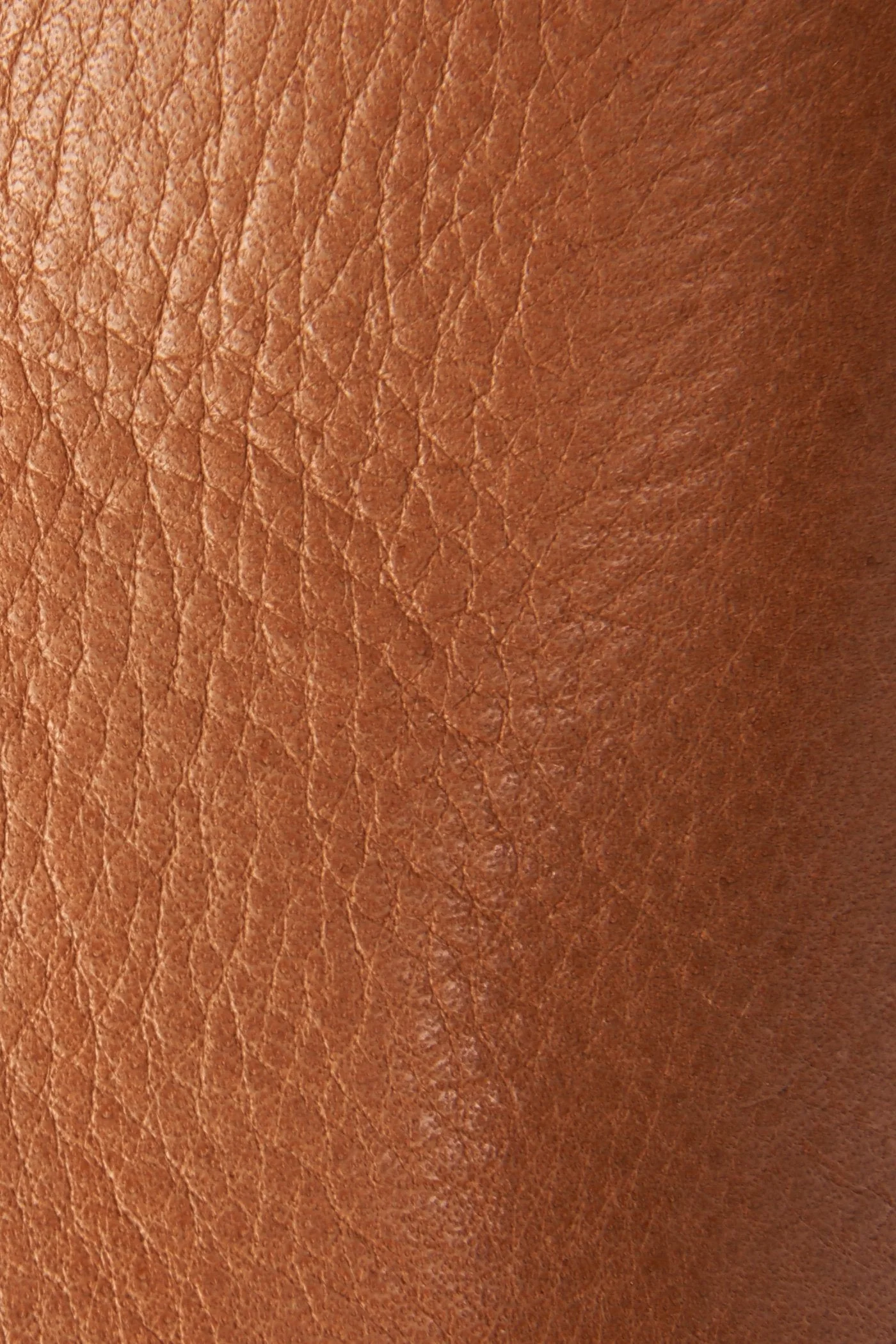 Georgia Bootie - Frye Found - Image 5