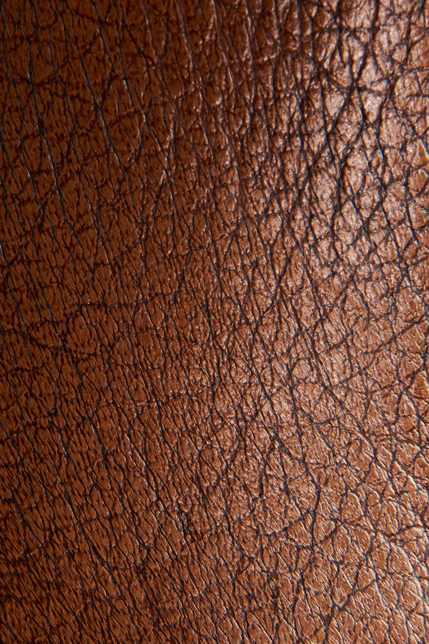 Greyson Chelsea - Frye Found - Image 5
