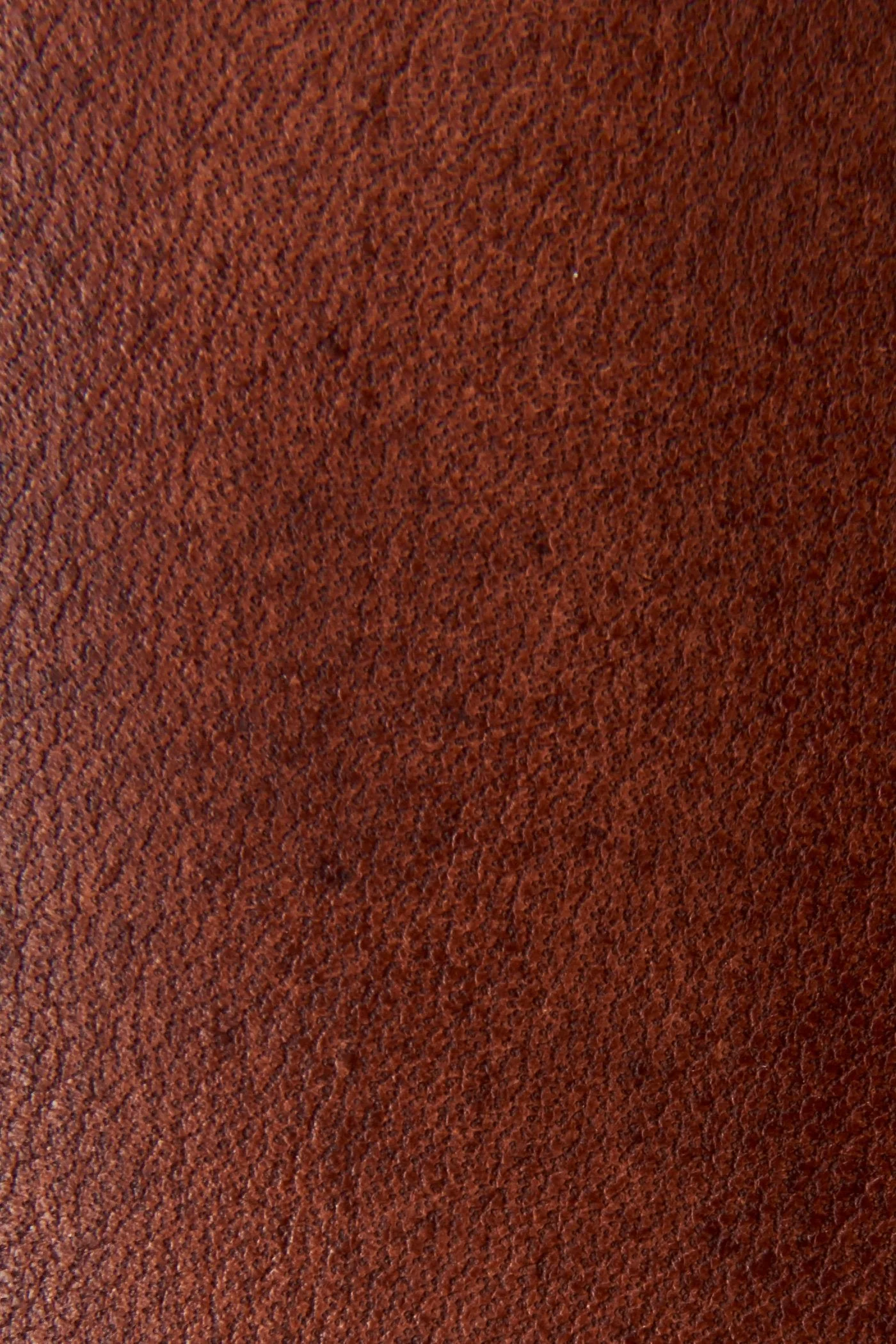 Harness 12R - Frye Found - Image 3