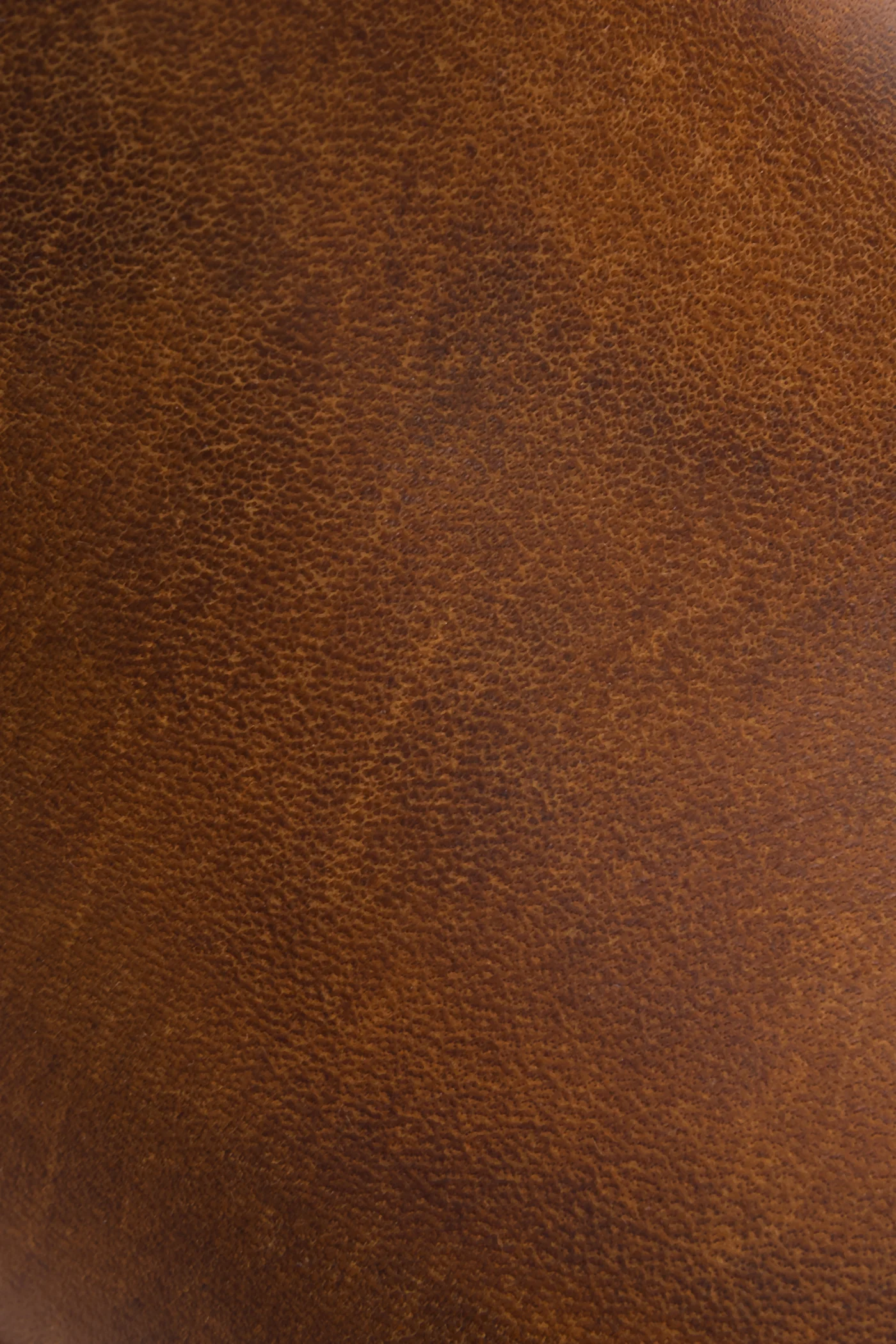 Harness 8R - Pre-Loved - Image 5