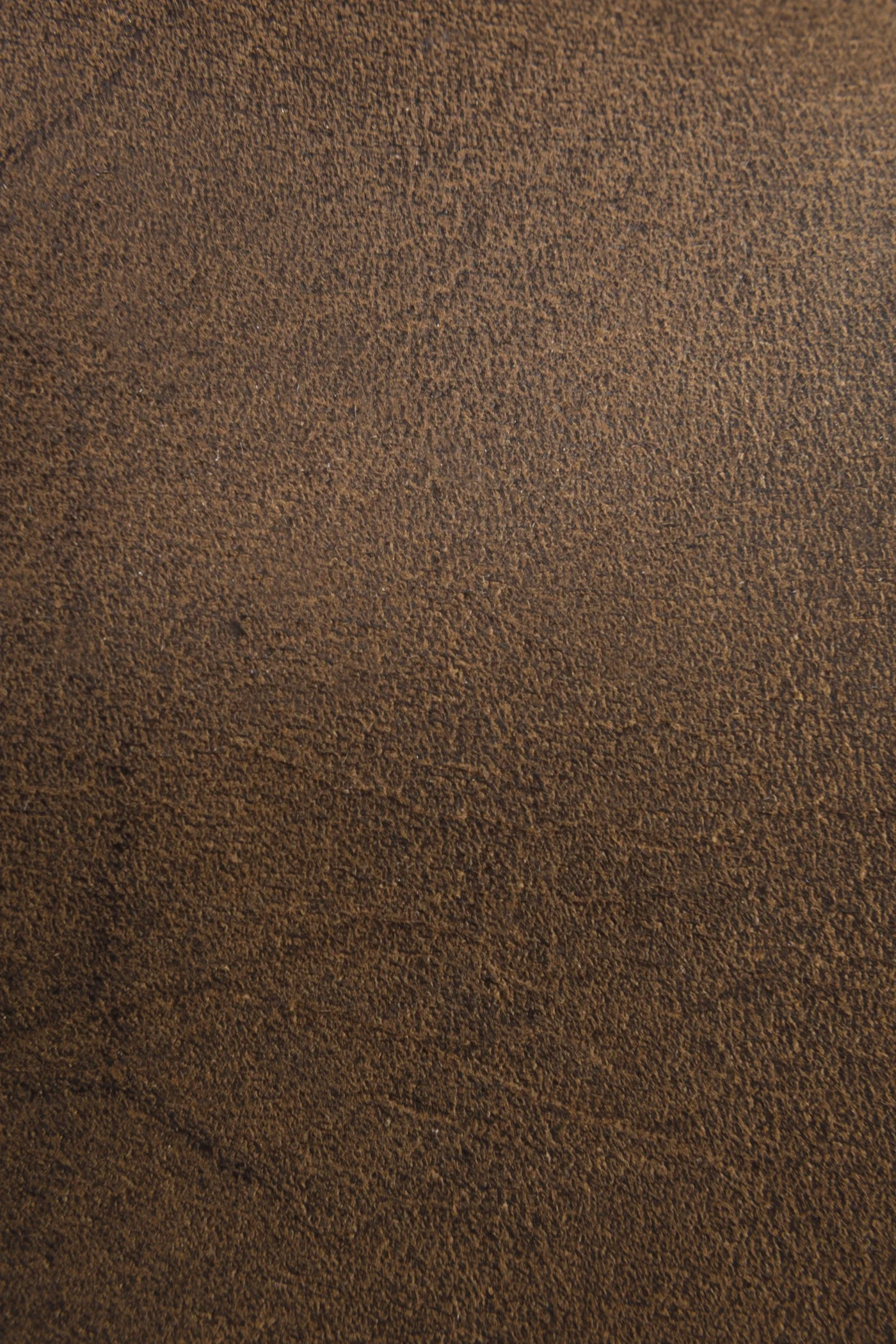 Harness 8R - Frye Found - Image 5