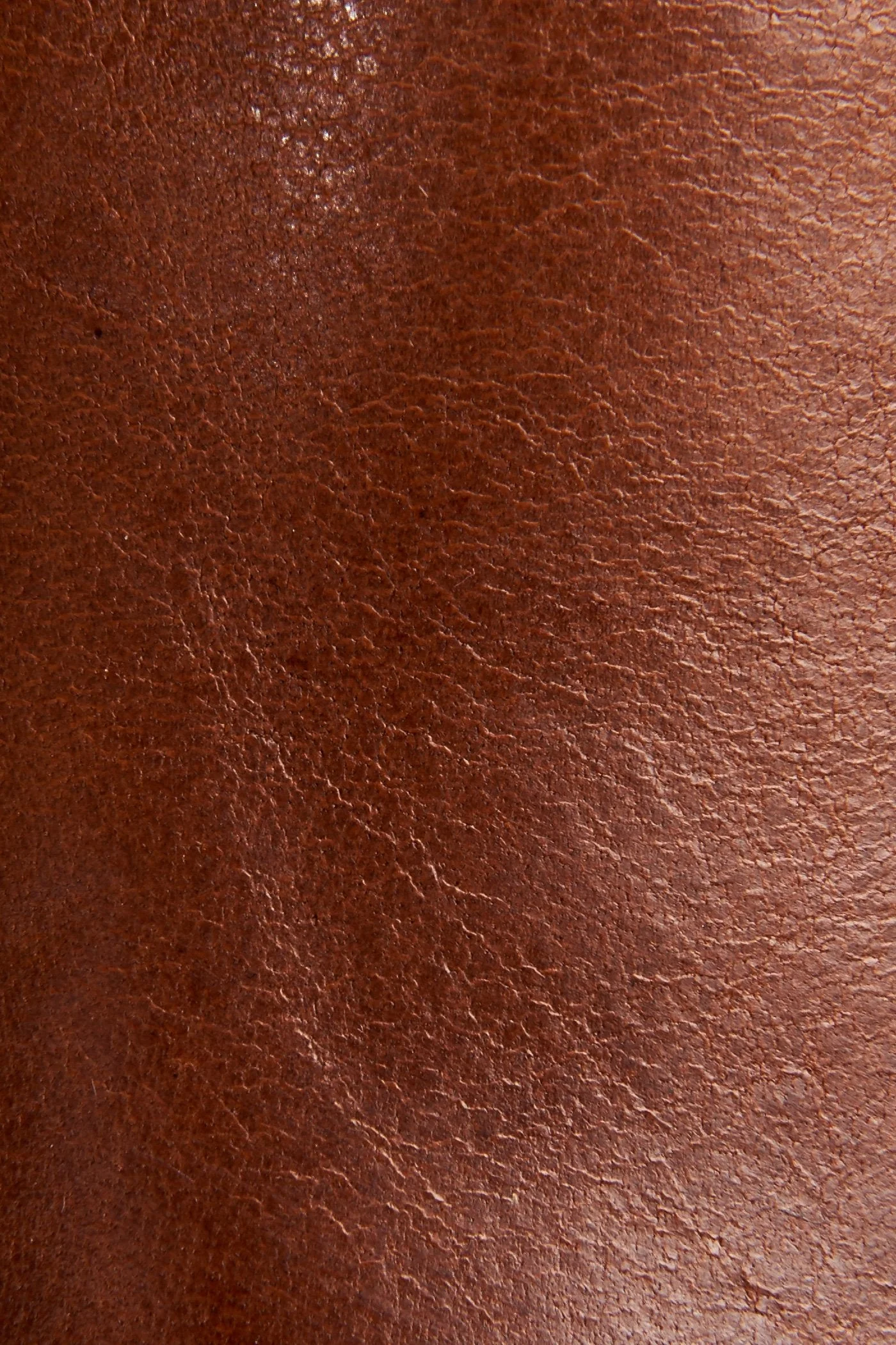 Hartford Venetian - Frye Found - Image 6
