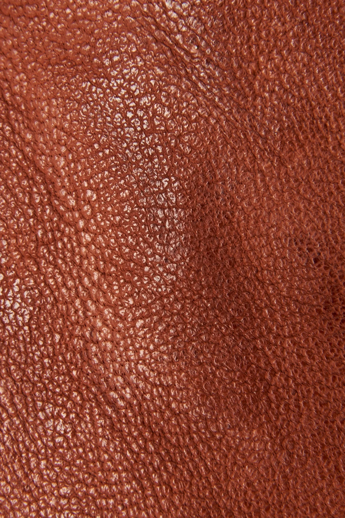 Ivy Low Lace Mule - Frye Found - Image 5