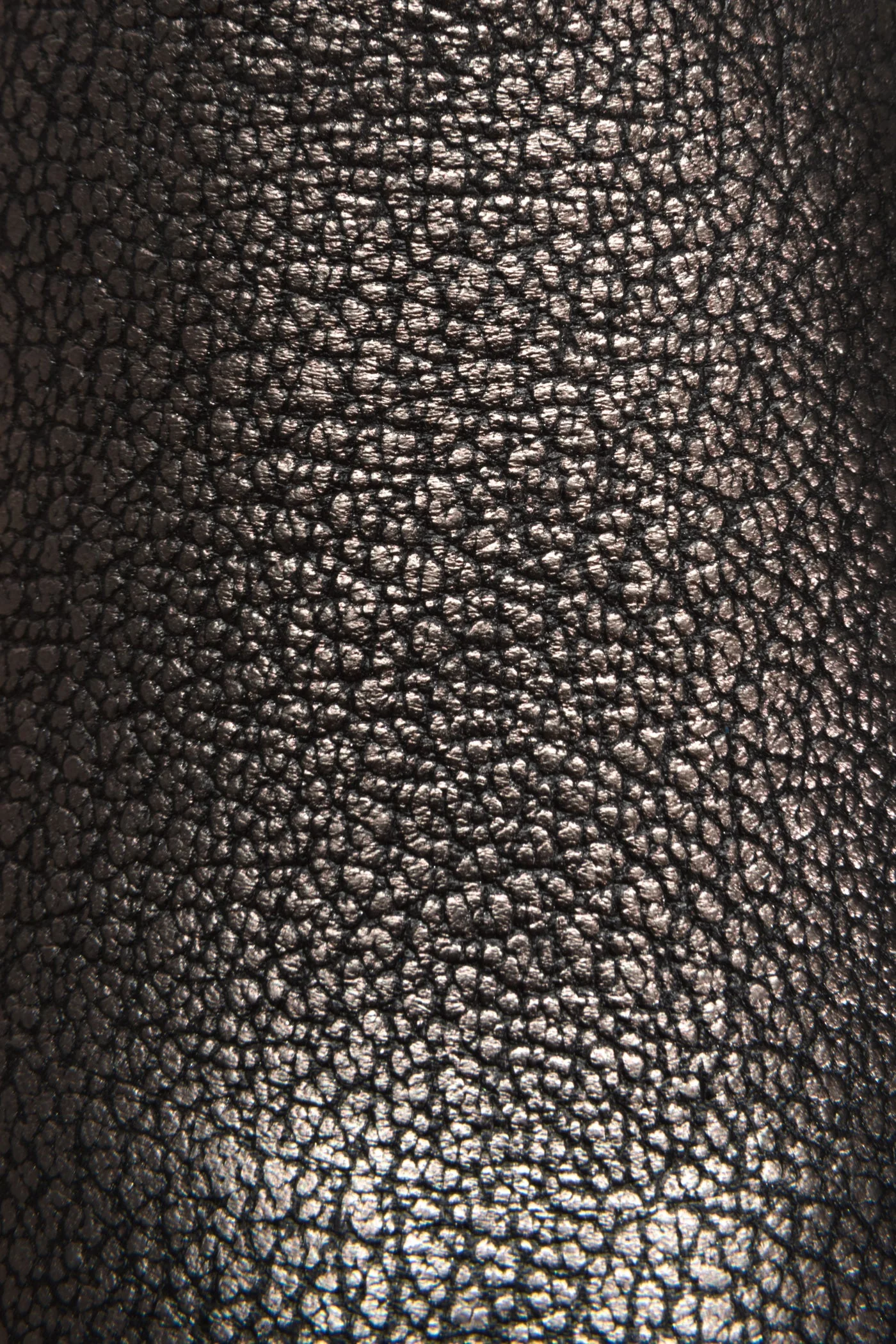 Ivy Slip - Frye Found - Image 5