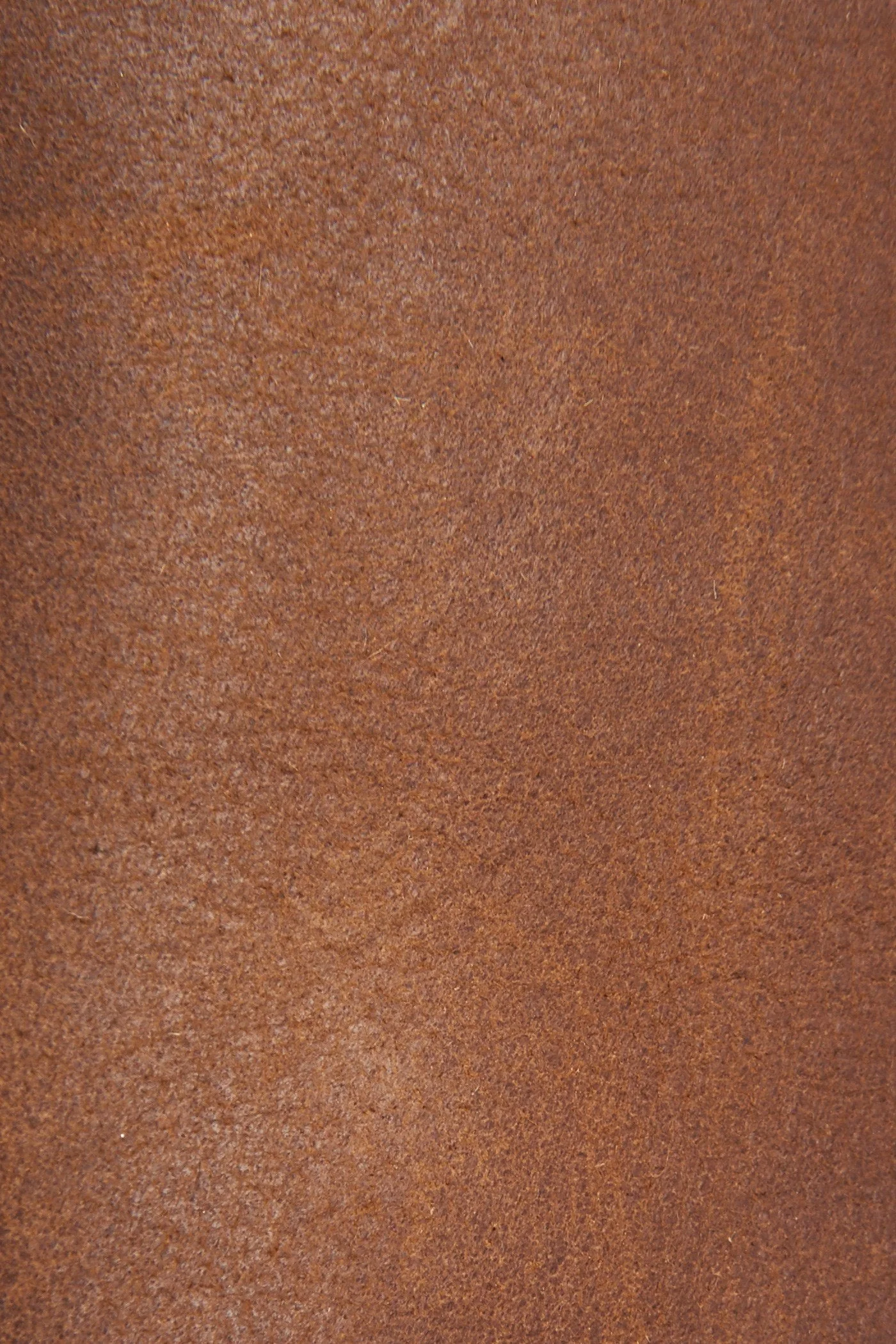 Jackie Button - Frye Found - Image 5