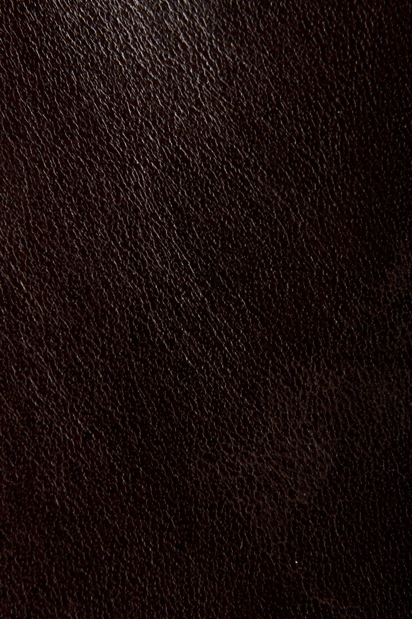 Jasper Jodhpur - Frye Found - Image 6