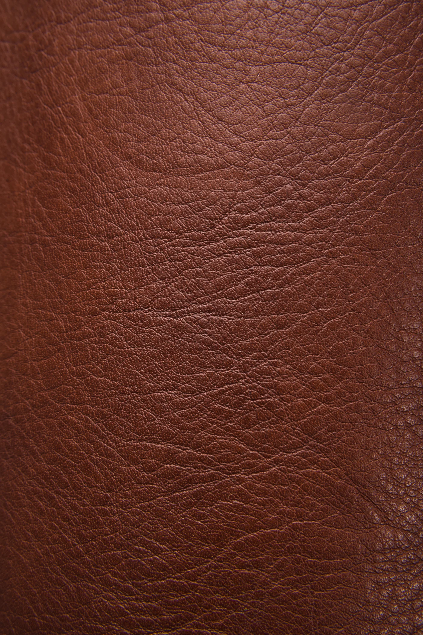 Jayden Buckle Back Zip - Pre-Loved - Image 5