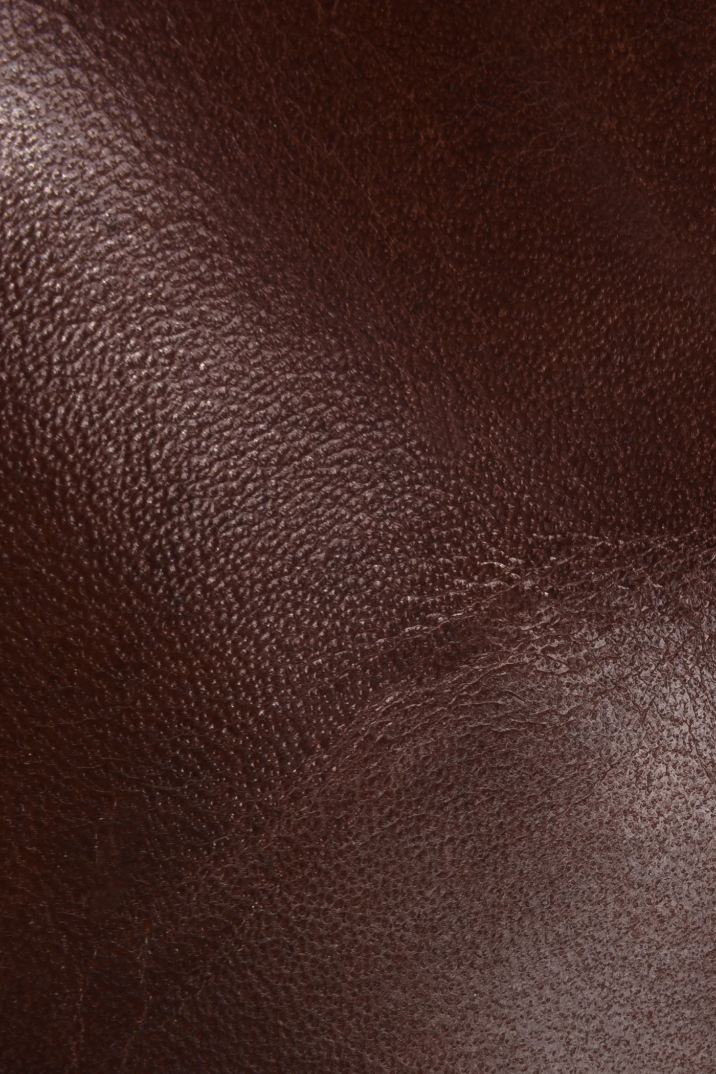 Jayden Button Tall - Frye Found - Image 5