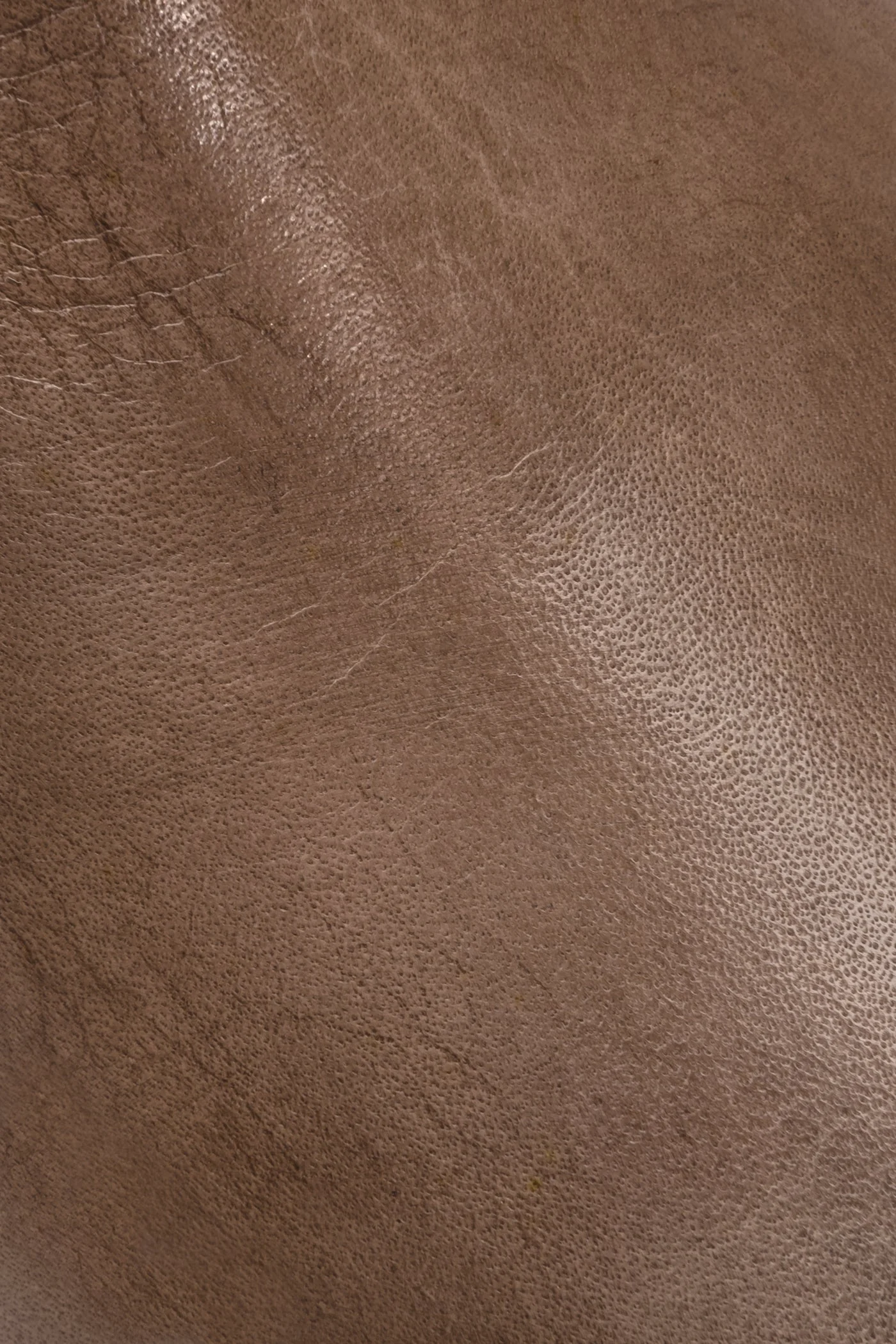 Jillian Chukka - Frye Found - Image 3
