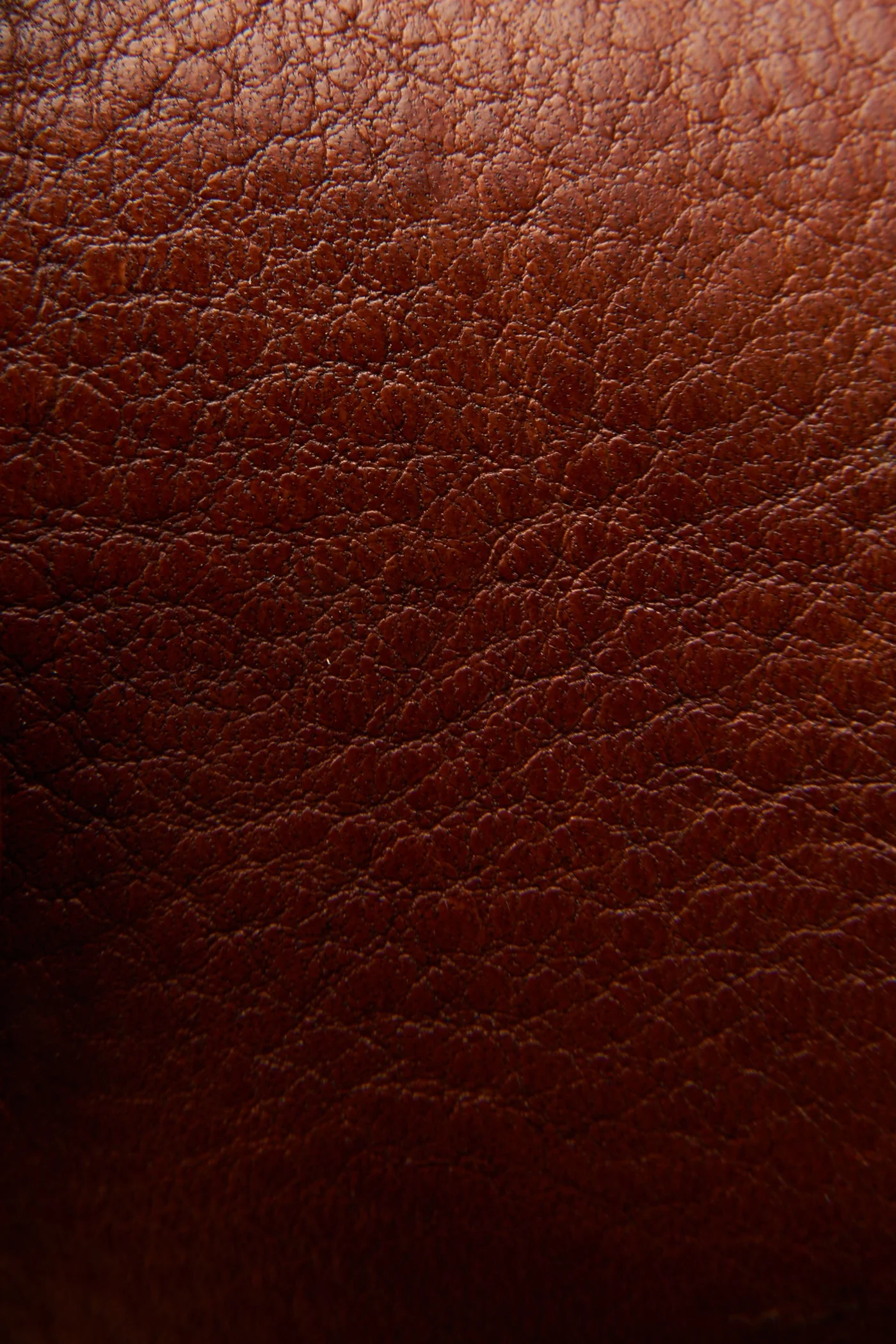 Jones Wingtip - Pre-Loved - Image 5