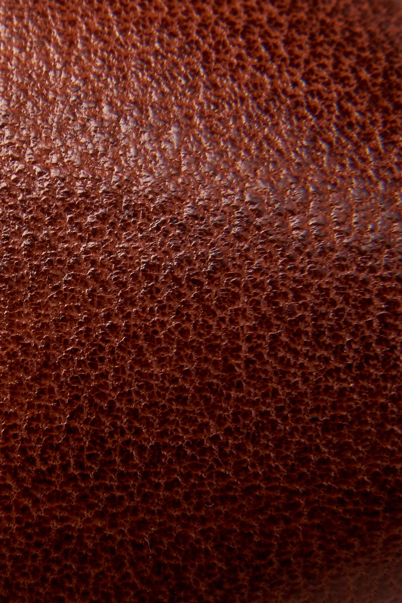 Kenzie Slingback - Frye Found - Image 5