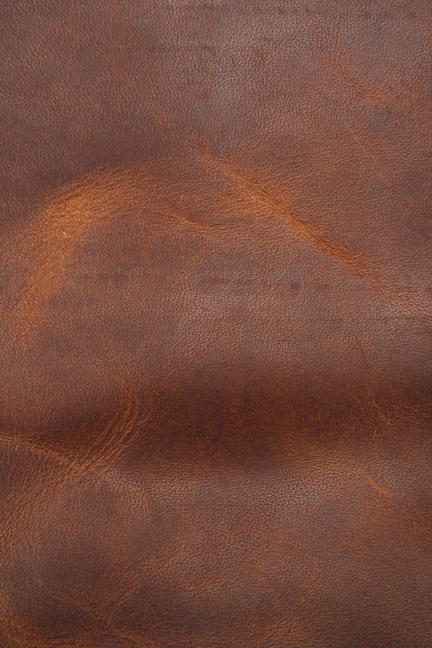 Logan Messenger - Image 4