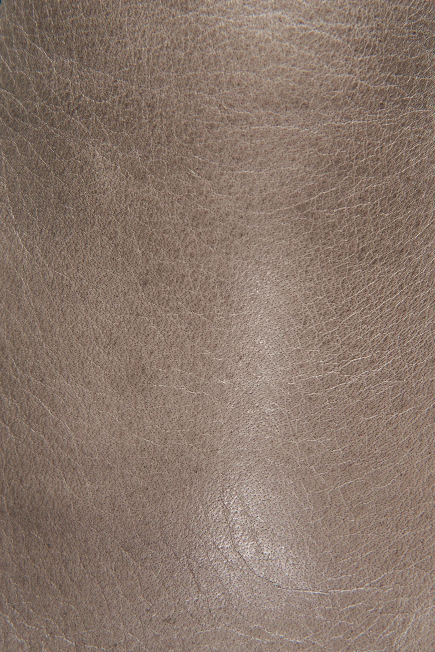 Mayer Venetian - Frye Found - Image 6