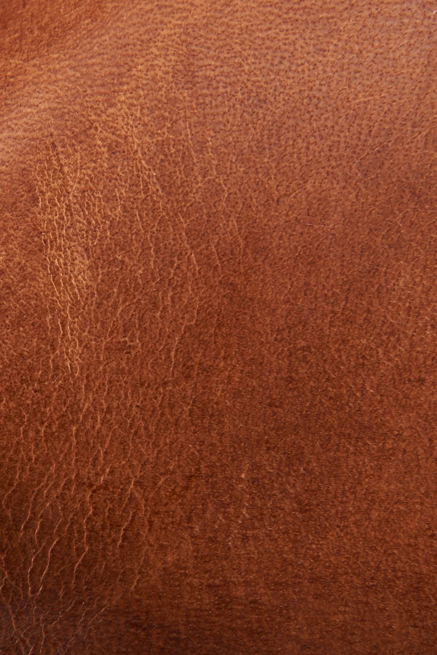 Melissa Belted Tall Wide Calf - Frye Found - Image 5