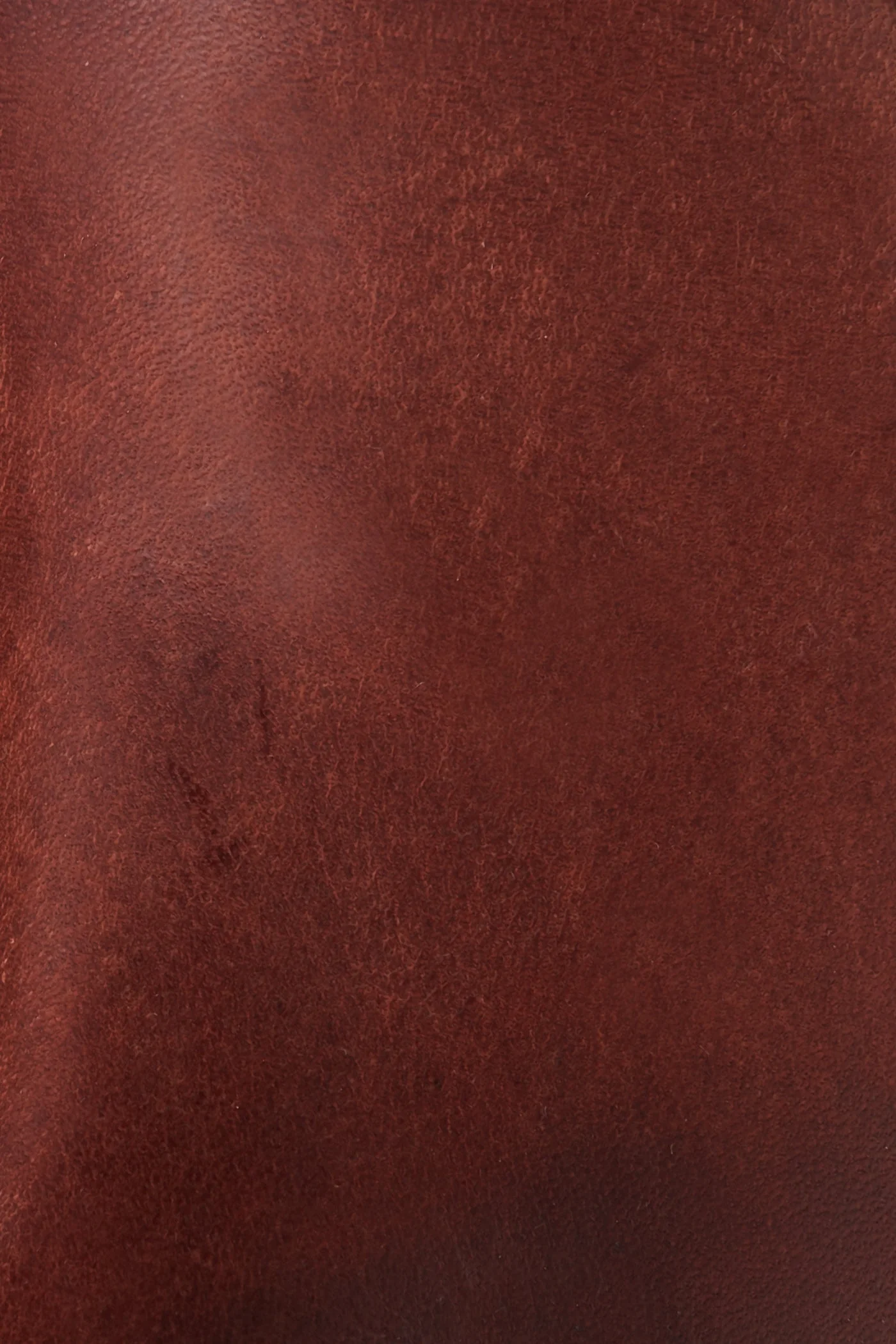 Melissa Button 2 - Frye Found - Image 5