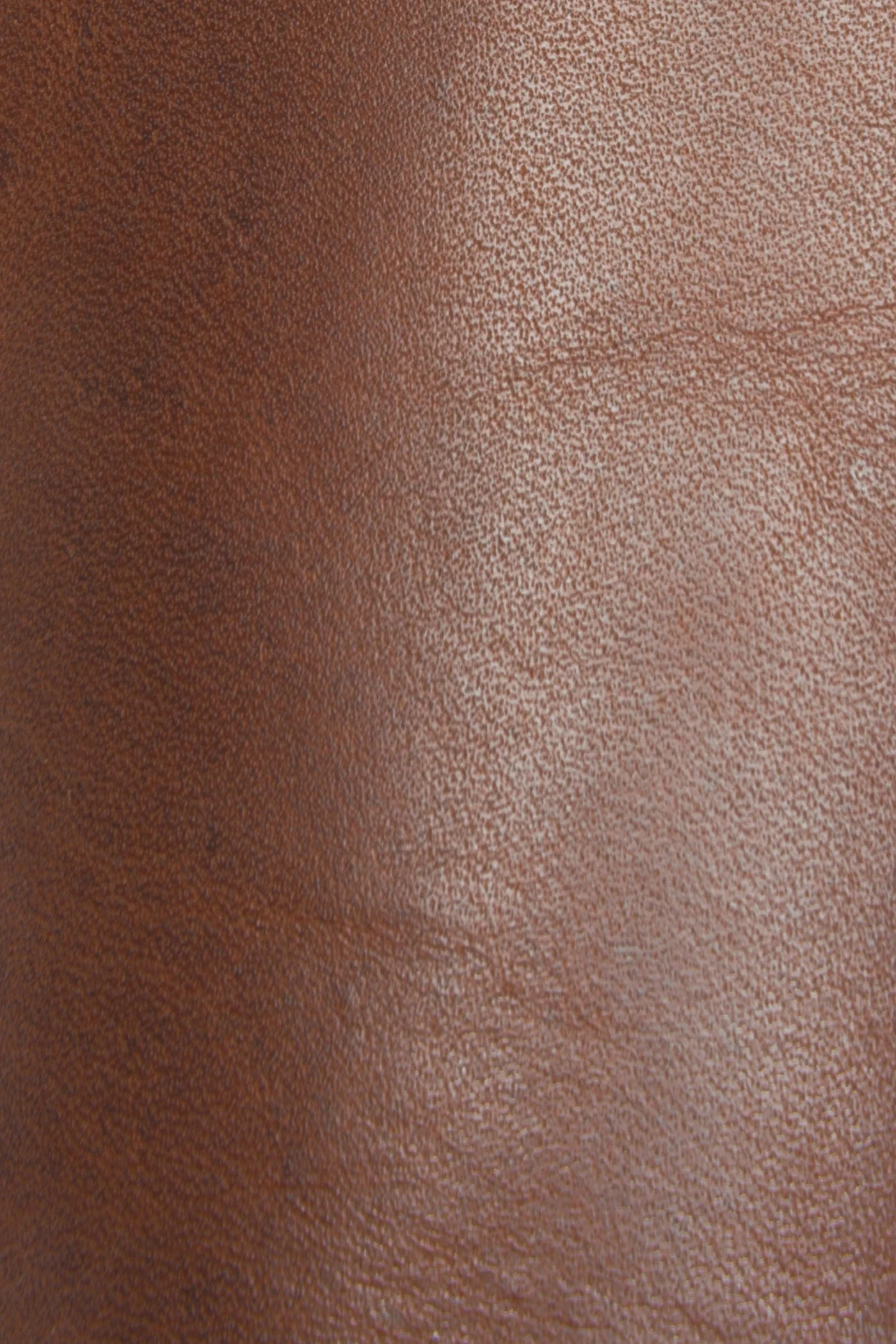 Melissa Button Back Zip - Frye Found - Image 6