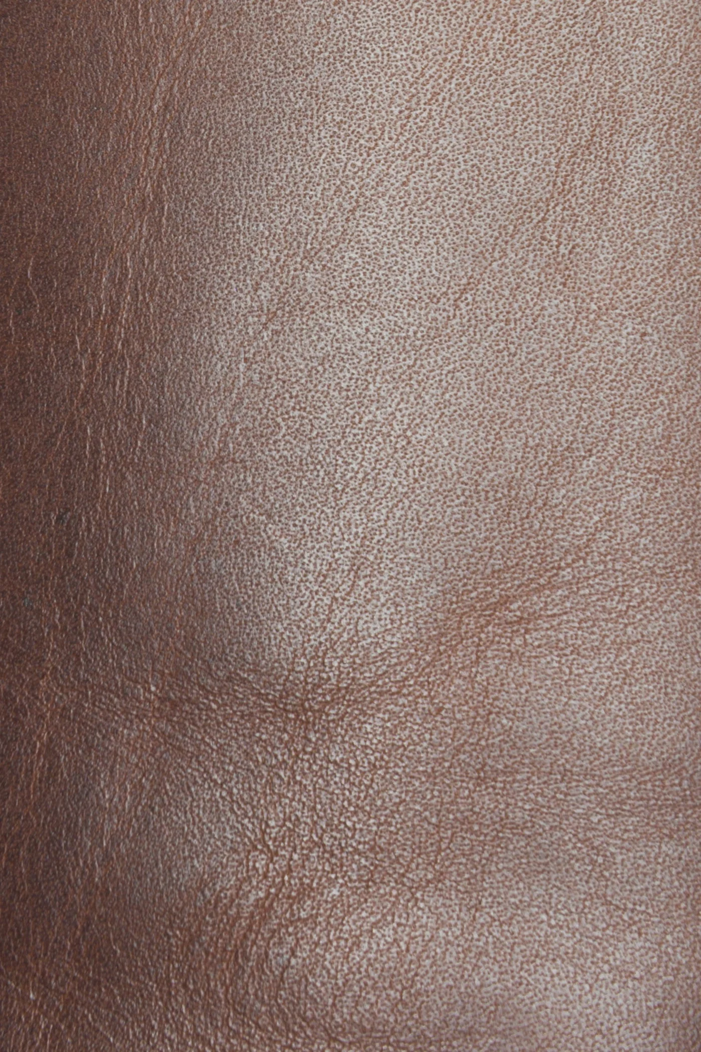 Melissa Button Back Zip - Frye Found - Image 6