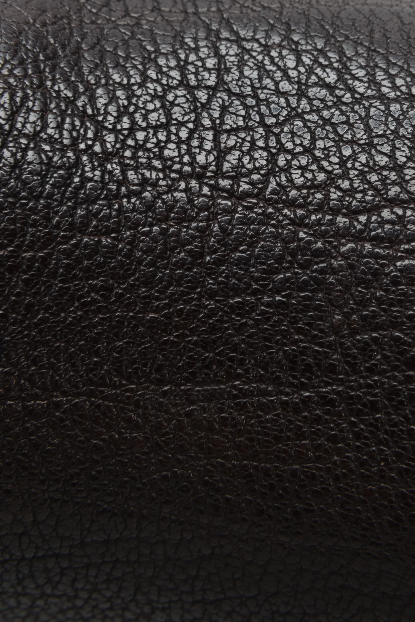 Melissa Button Back Zip - Frye Found - Image 3