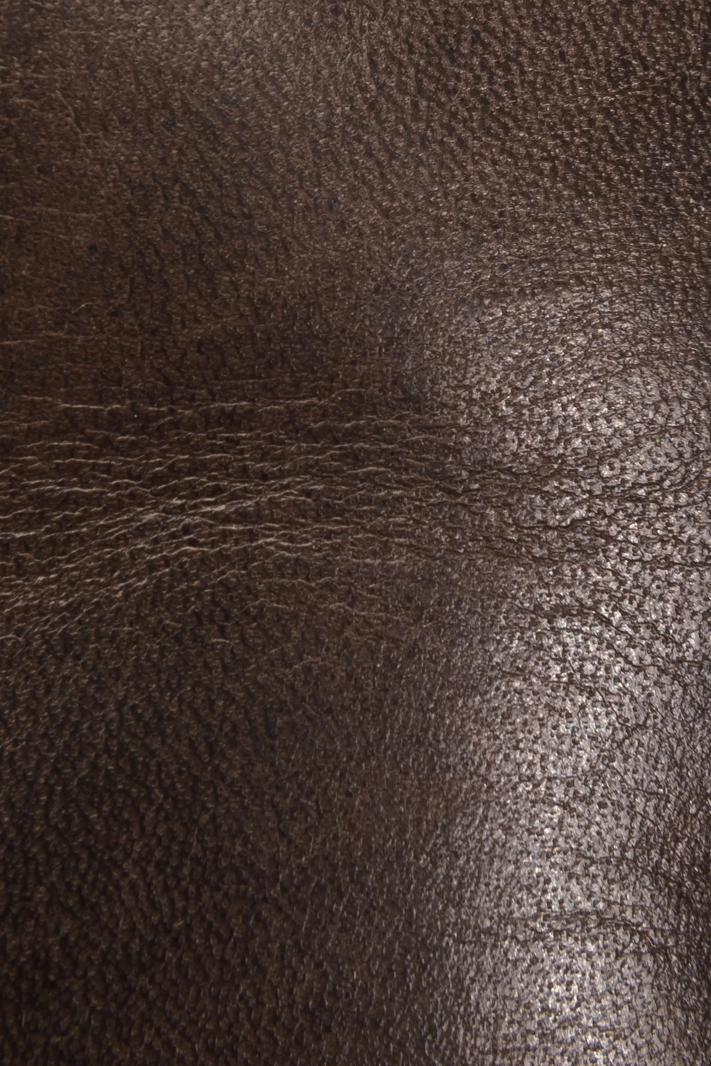 Melissa Button Short 2 - Frye Found - Image 5