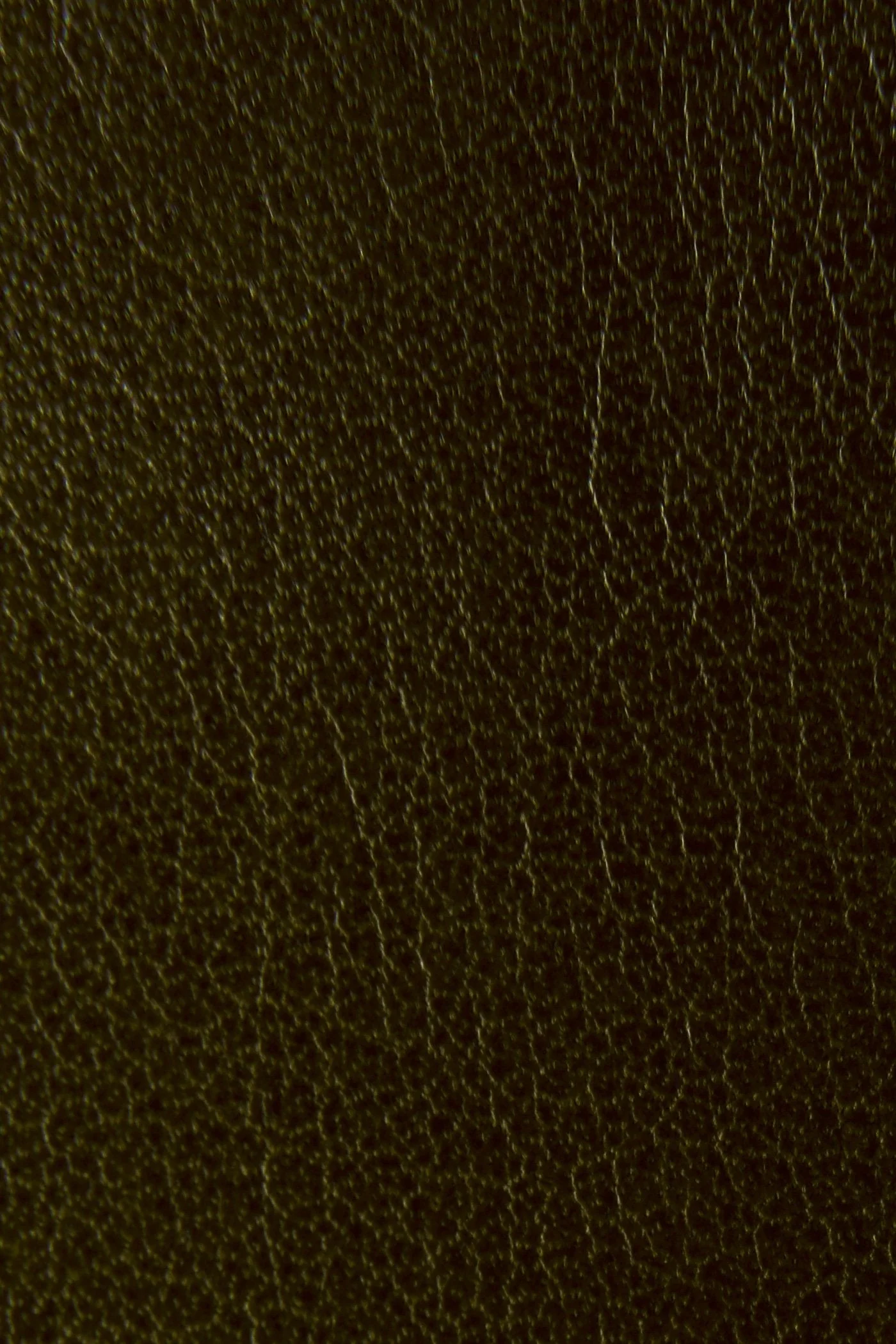 Melissa Chelsea - Pre-Loved - Image 5
