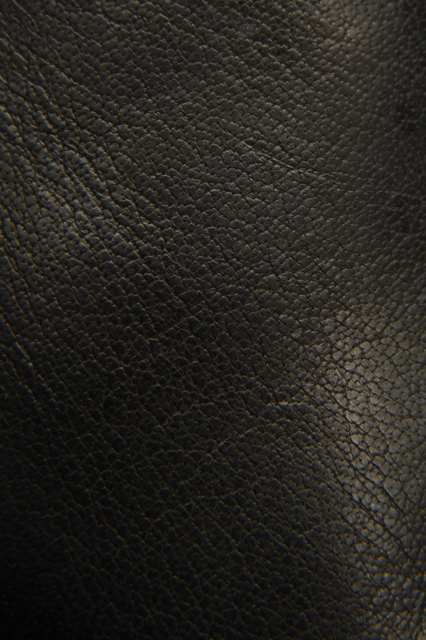 Melissa Pull On - Frye Found - Image 5