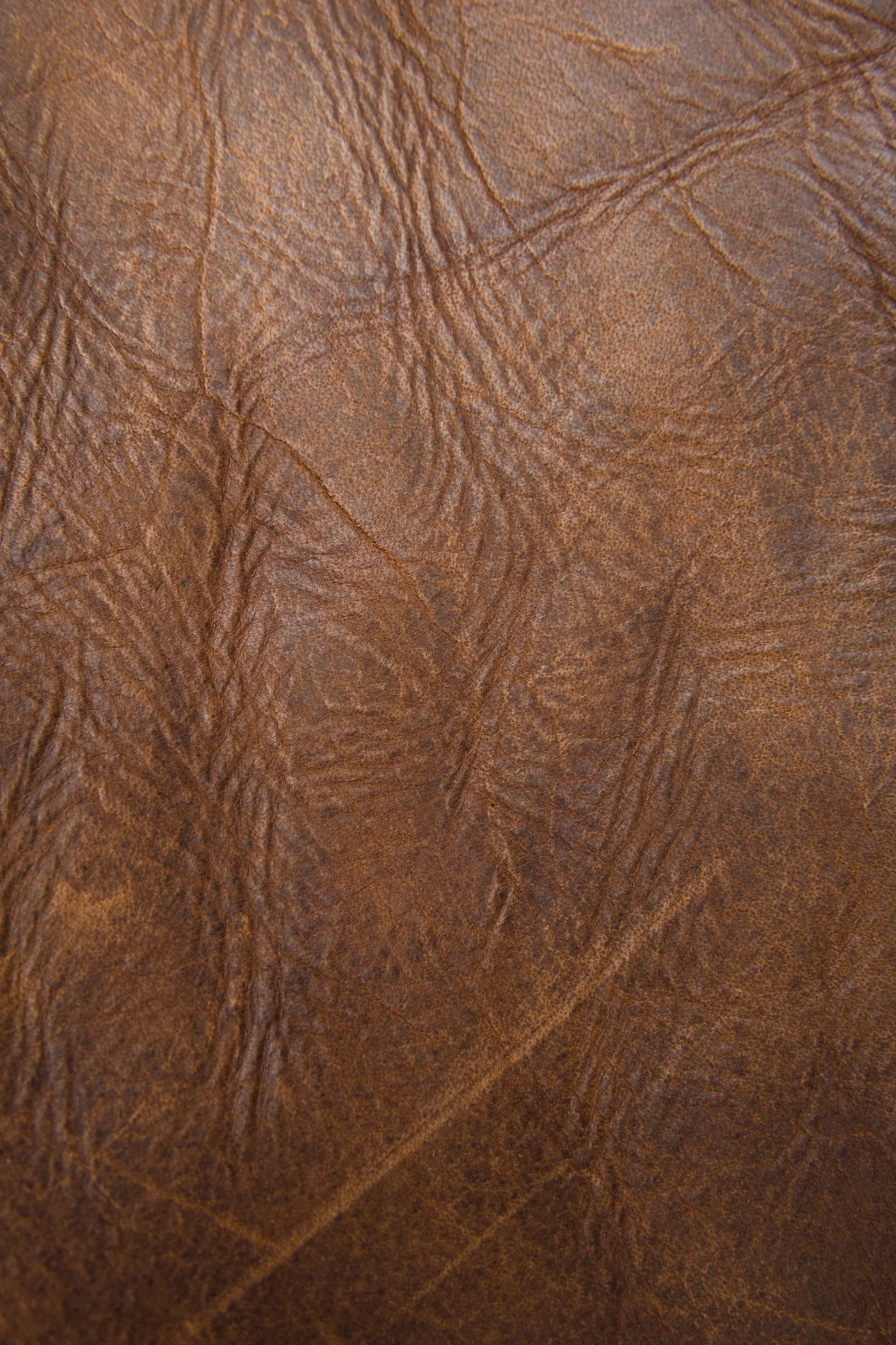 Melissa Satchel - Image 3