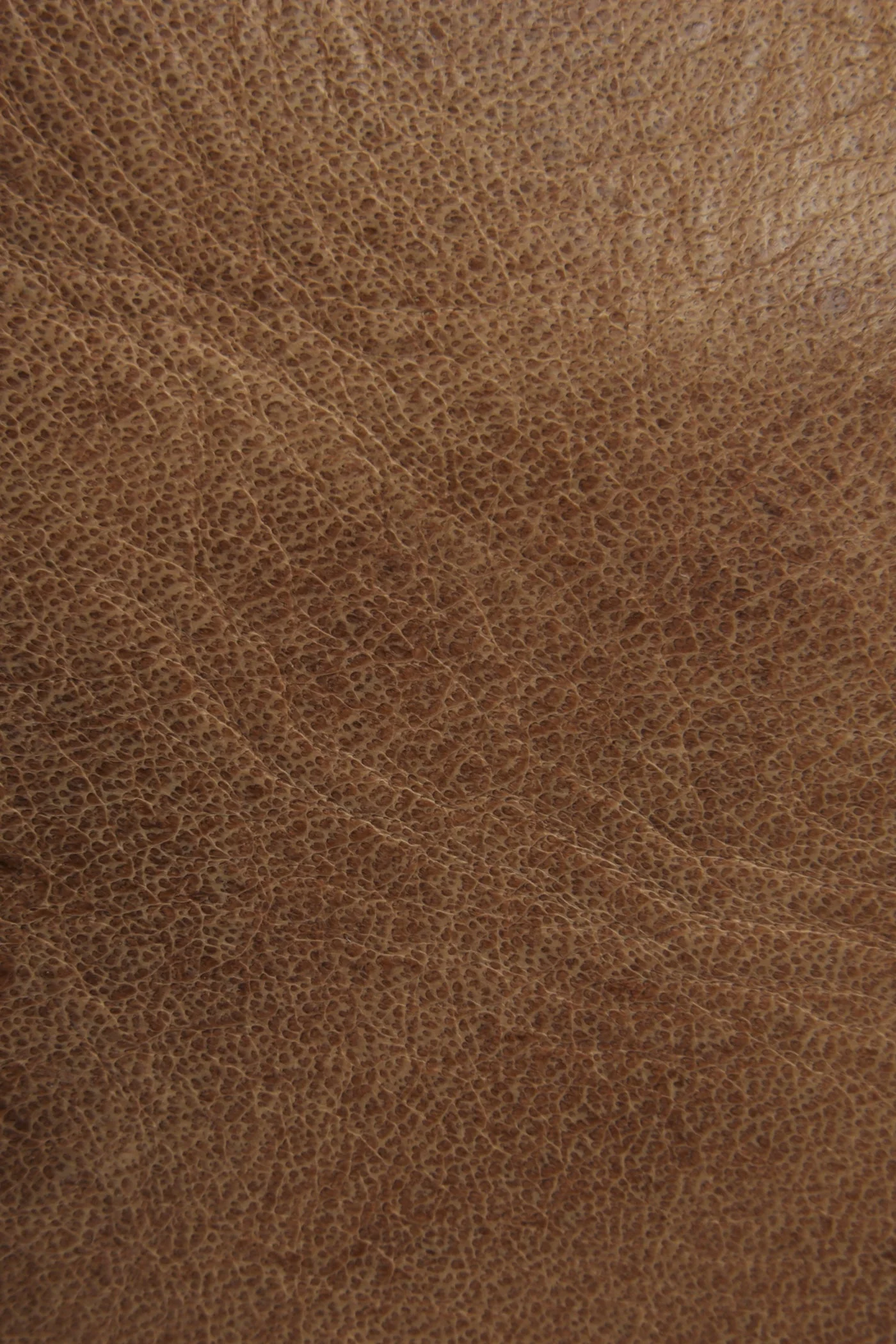 Melissa Tote - Image 5
