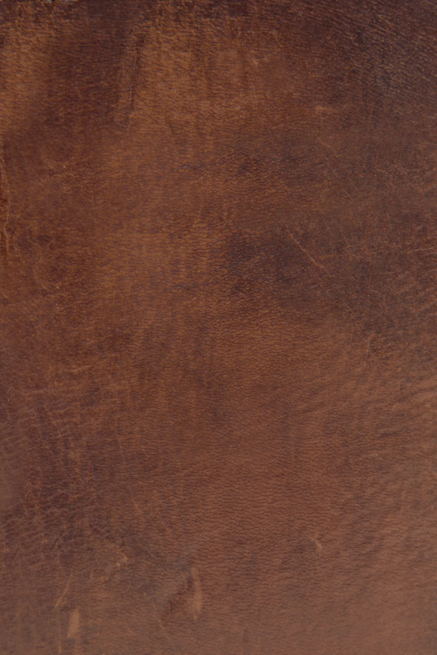 Melissa Zip Wallet - Image 3