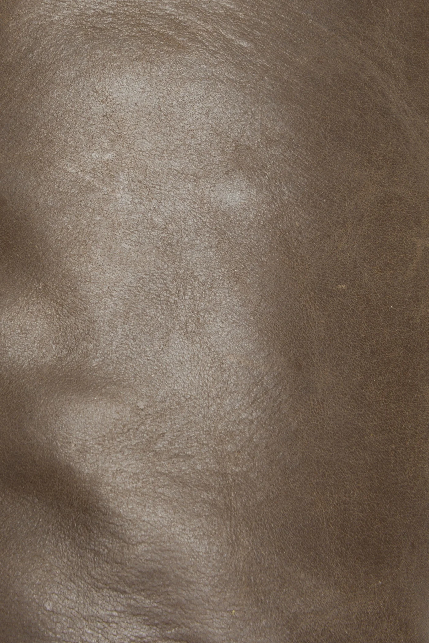 Molly Button Tall - Frye Found - Image 6