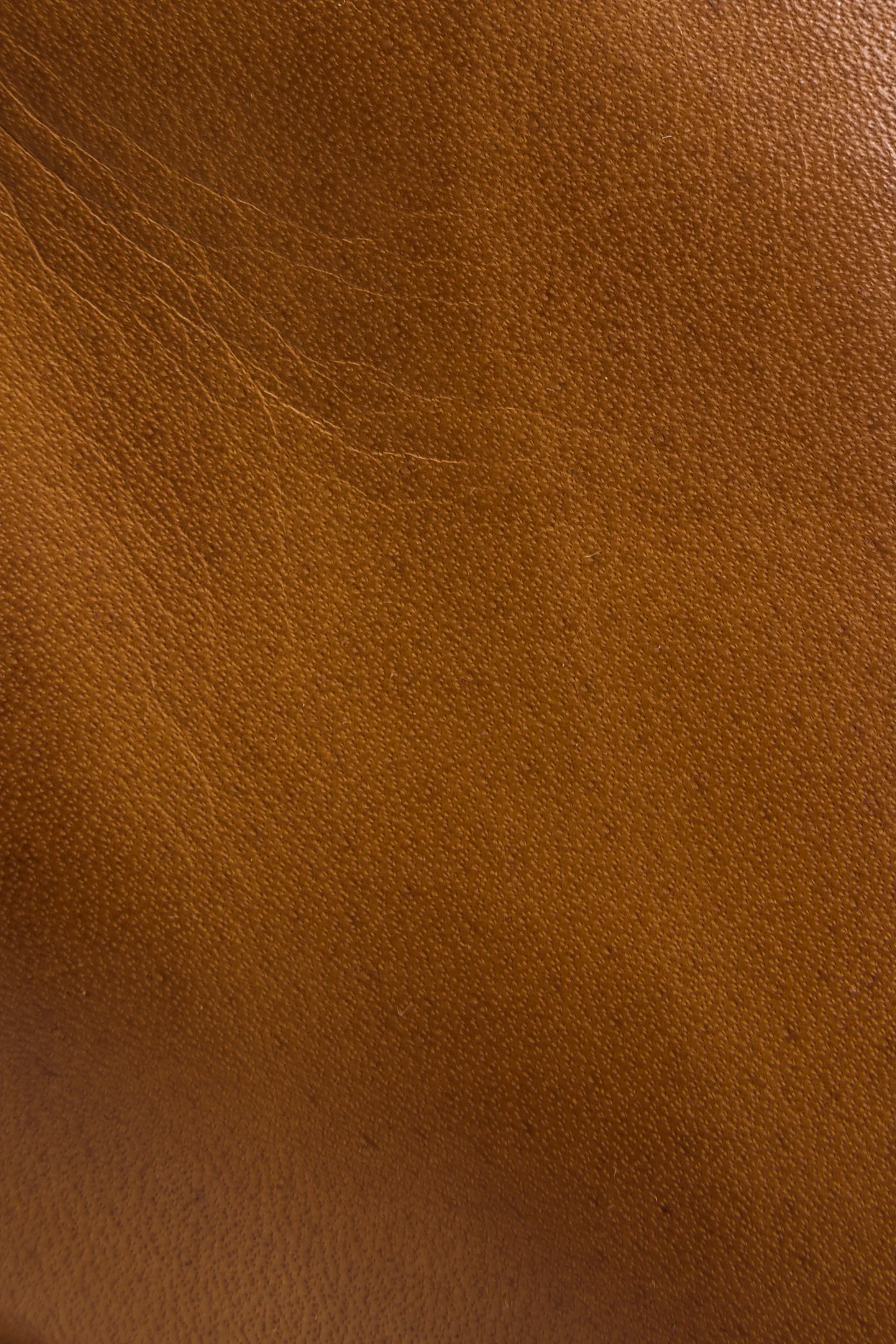 Nora Zip Short - Pre-Loved - Image 5