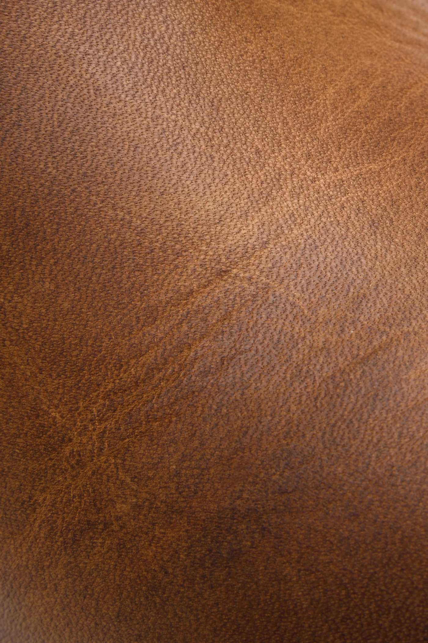 Paige Tall Riding - Frye Found - Image 3